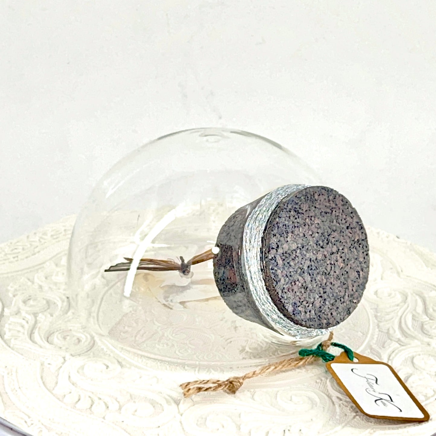 Droplet | Amber Phantom | Glasswing Butterfly | Rusty Orange | Translucent | Tabletop or Wall Hanging Display (Copy)