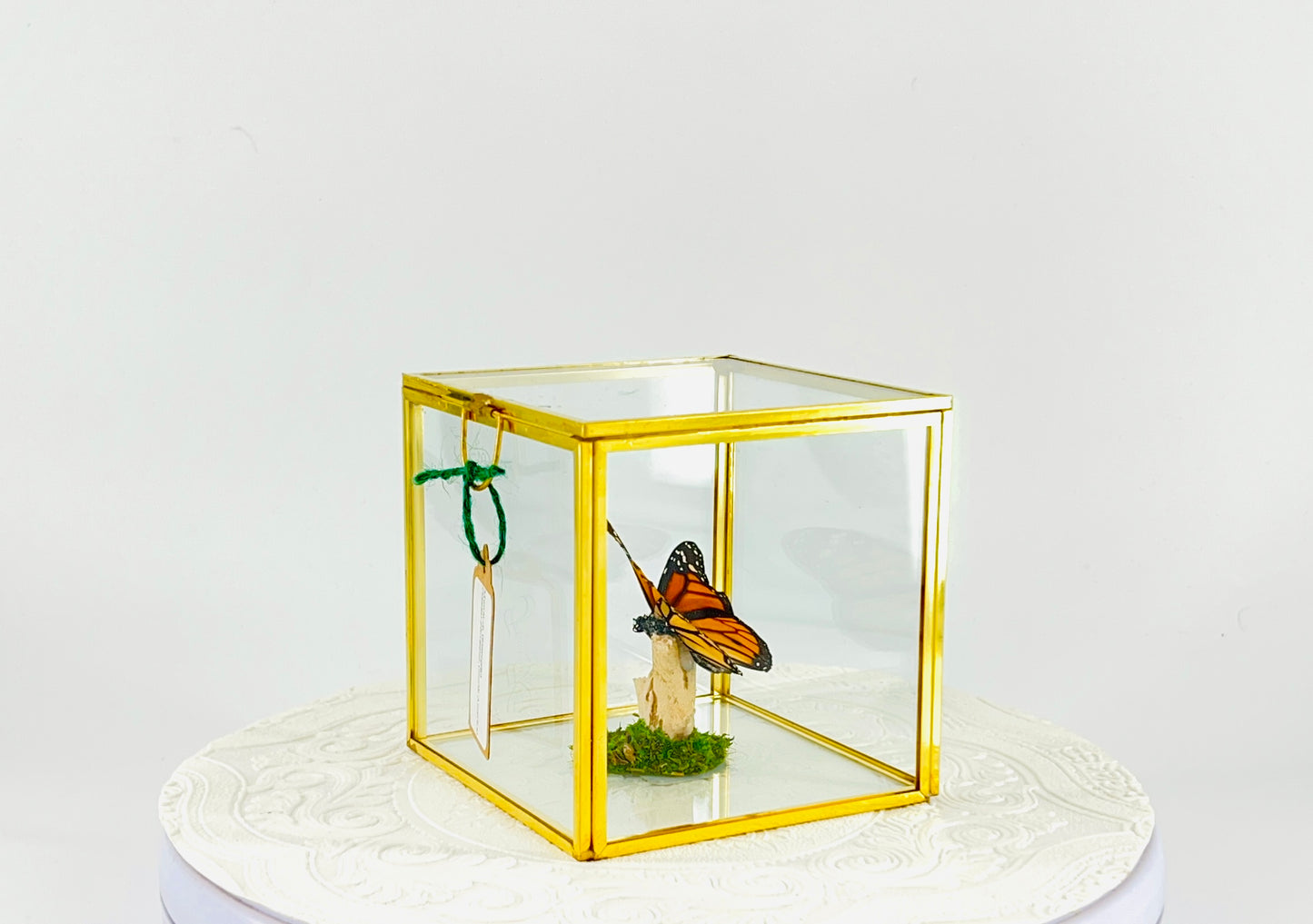 The Cube | Centerpiece | Monarch | Black Orange | Flutter by Katie Handmade Butterfly Sculpture Art | Home Decor | North America