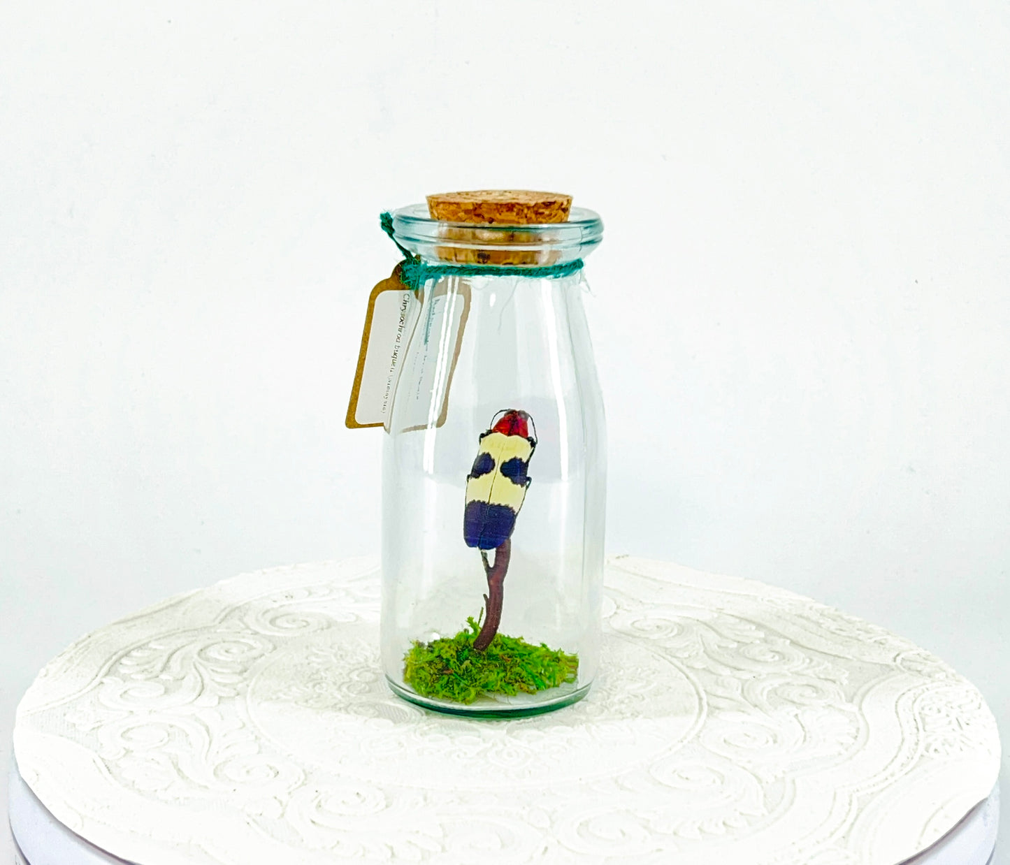 Accent Jar | Red Speckled Jewel Bettle | Red Yellow Blue | Tabletop Display