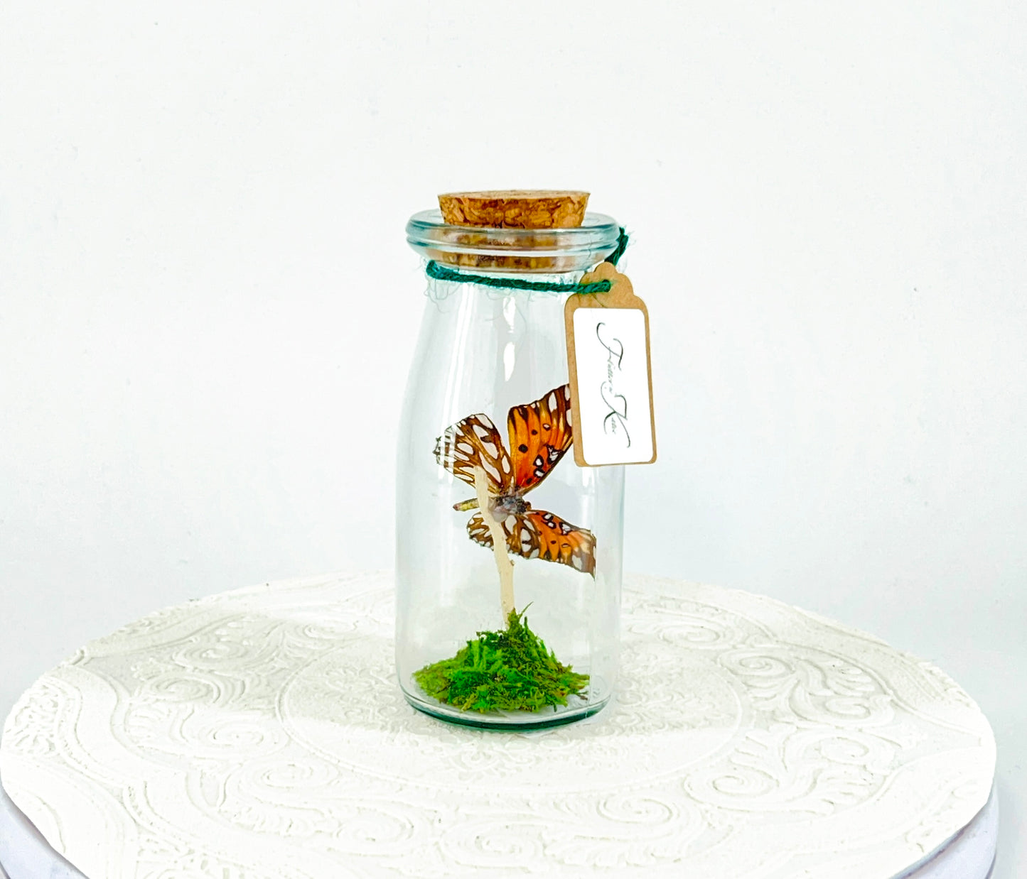 Accent Jar | Gulf Fritillary Butterfly | Metallic Silver Spots | Tabletop Display