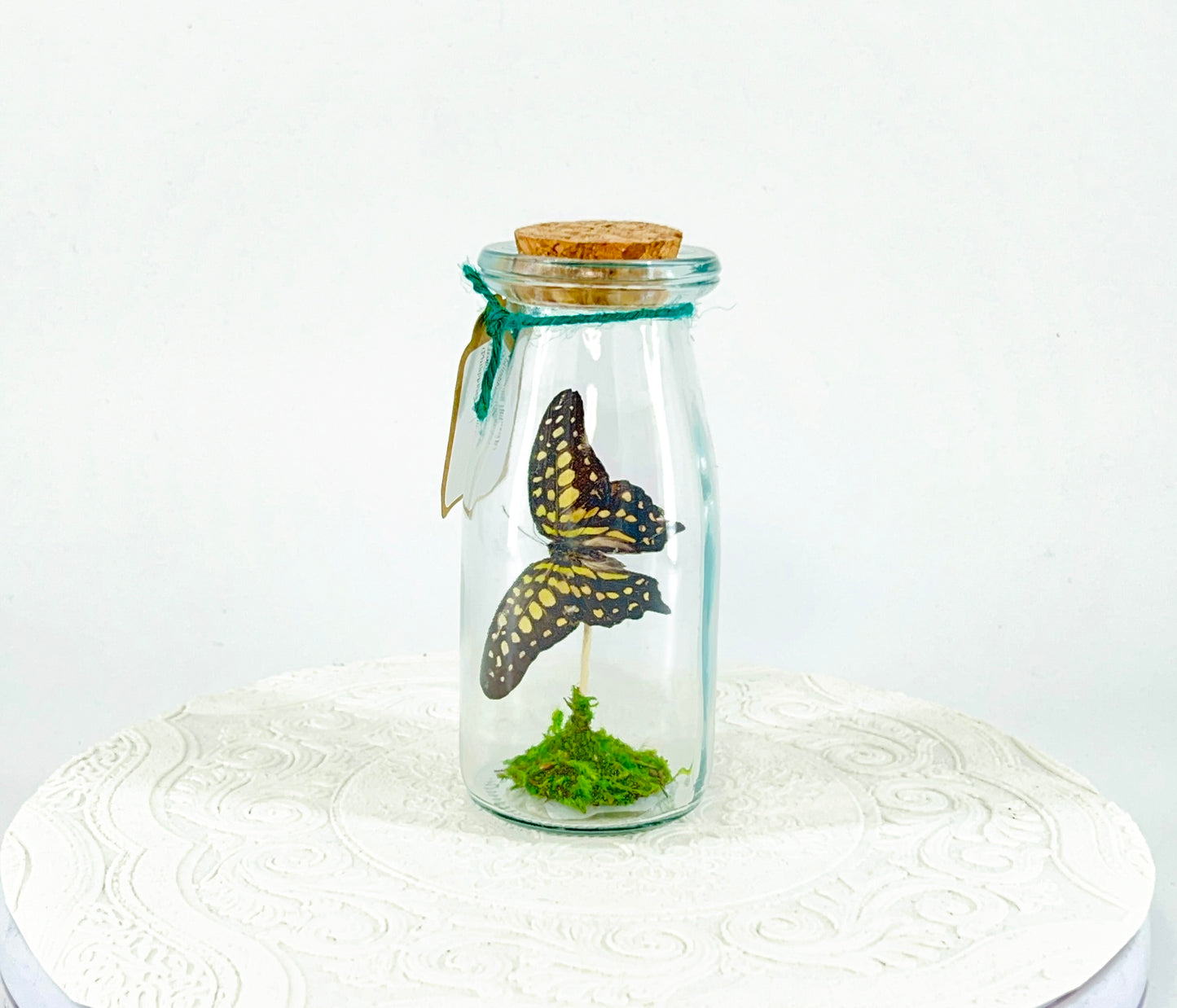 Accent Jar | Agamemnon | Green Black | Tabletop Display