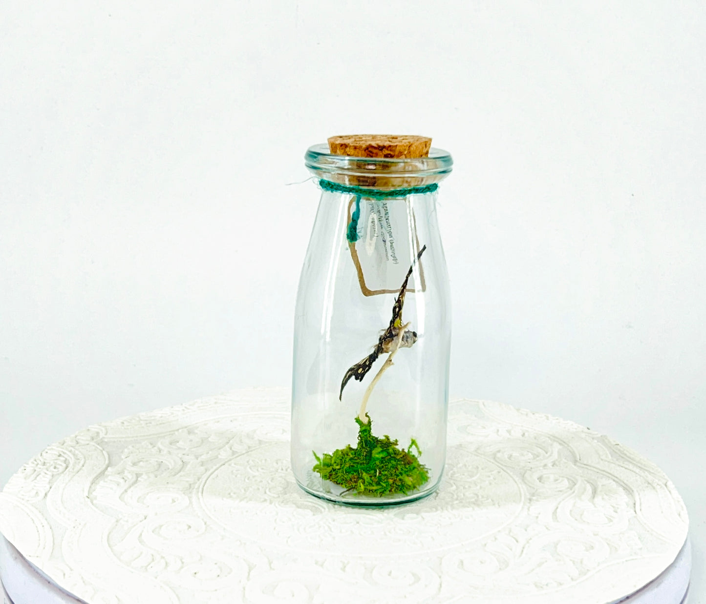 Accent Jar | Agamemnon | Green Black | Tabletop Display