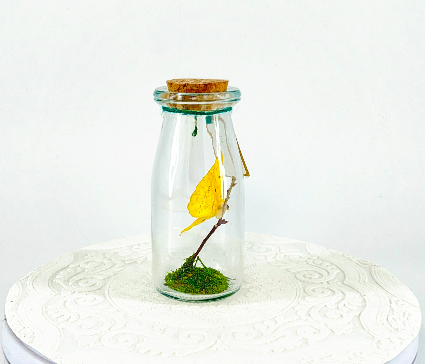 Accent Jar | Apricot Sulphur | Yellow | Tabletop Display