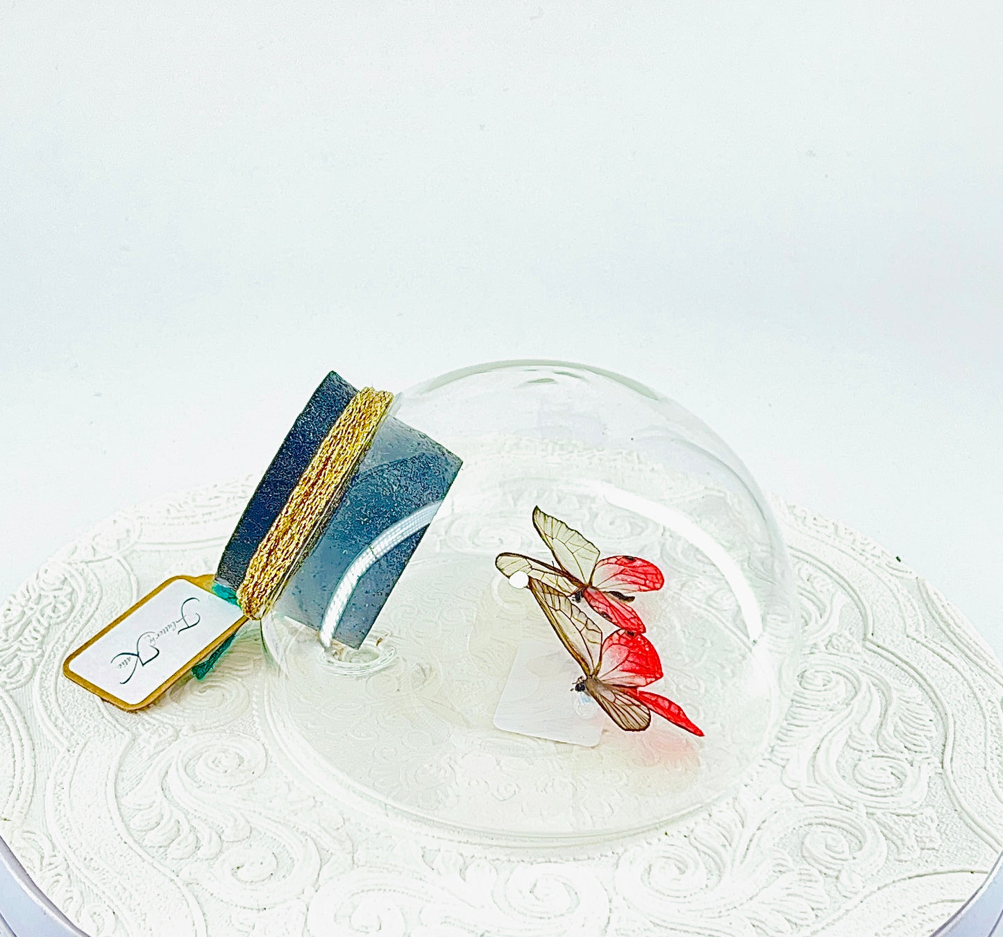 Droplet | Pink Glasswing x2 | Pink Translucent | Tabletop or Wall Hanging Display (Copy)