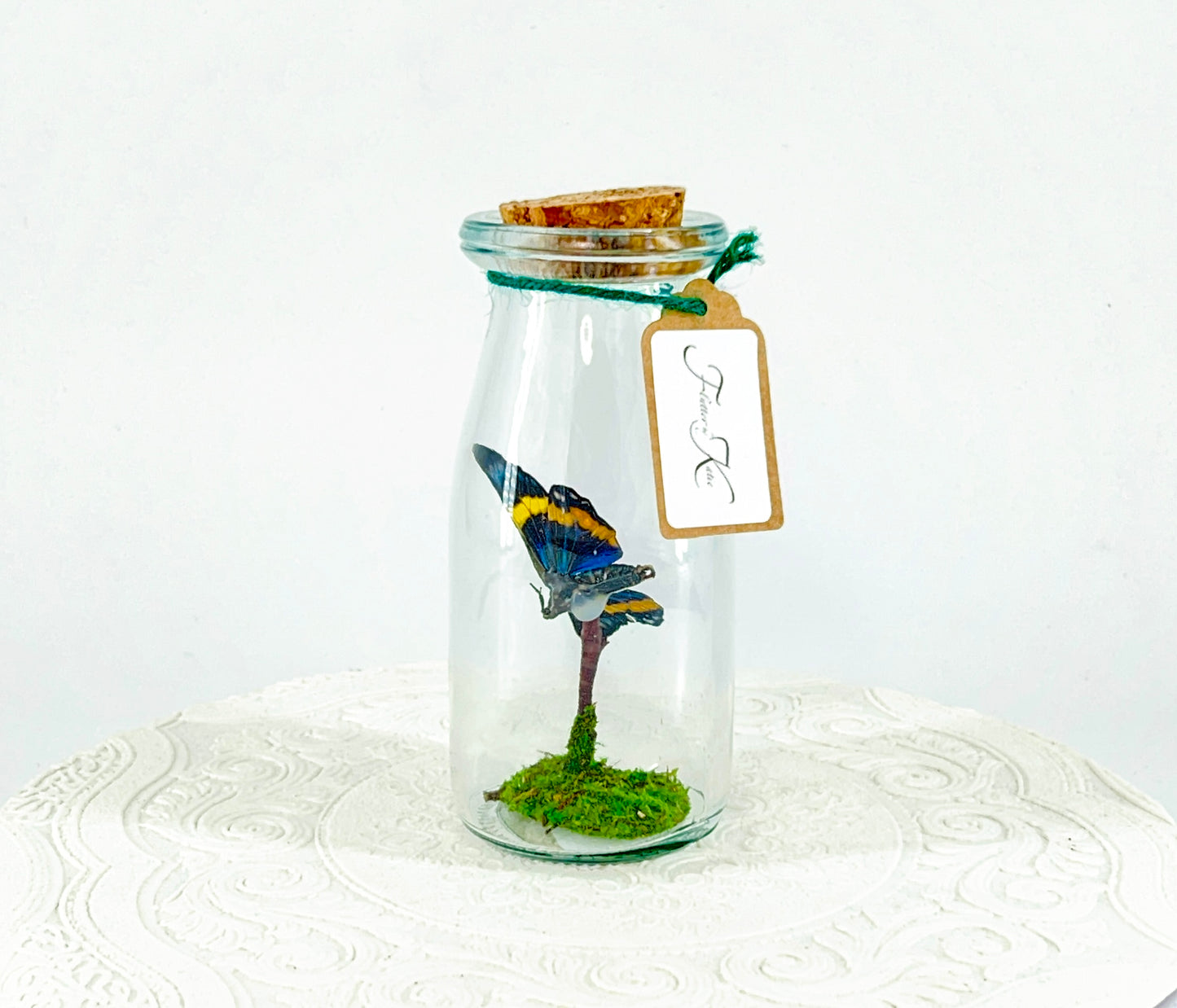 Accent Jar | Day Moth | Green Black Yellow | Tabletop Display
