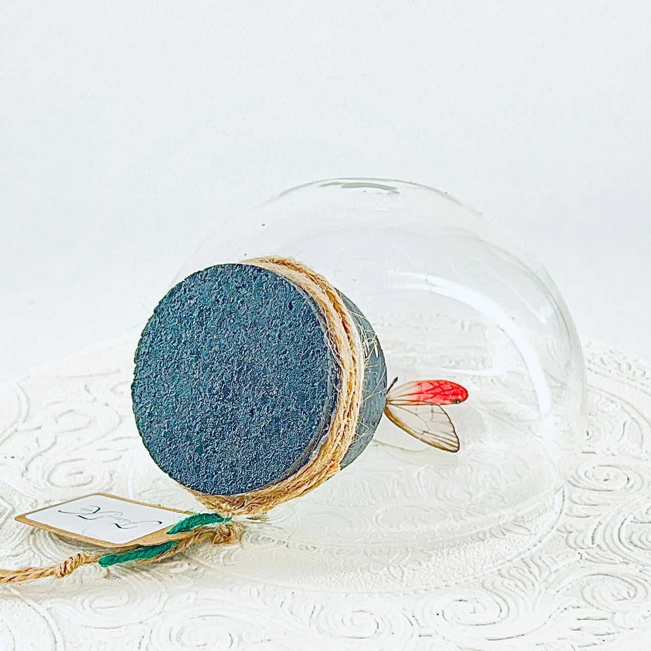 Droplet | Pink Glasswing | Pink Translucent | Tabletop or Wall Hanging Display