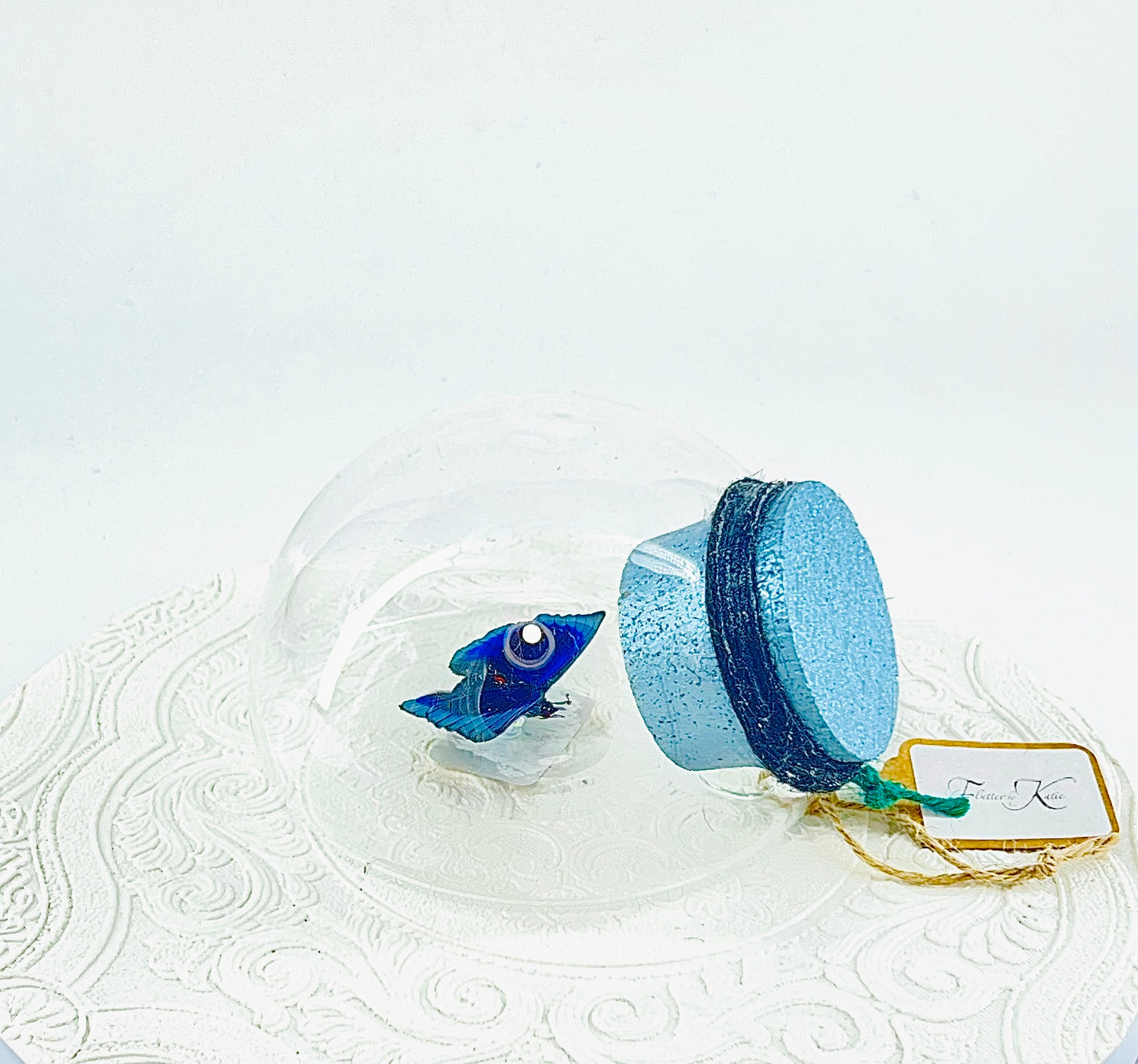 Droplet | Blue Glory Butterfly | Dark Blue Metallic Green | Tabletop or Wall Hanging Display