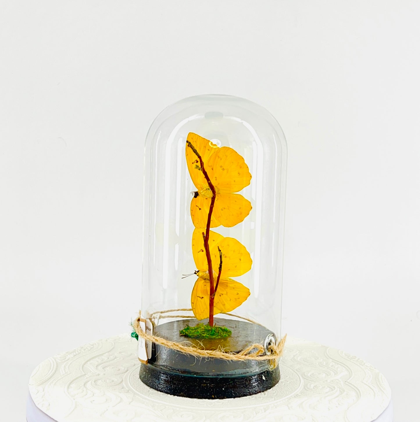 Large Pendant | Hanging or Tabletop Centerpiece | Orange-barred Sulphur | Yellow Orange | Flutter by Katie | Handmade Butterfly Sculpture Art | Home Decor | North America