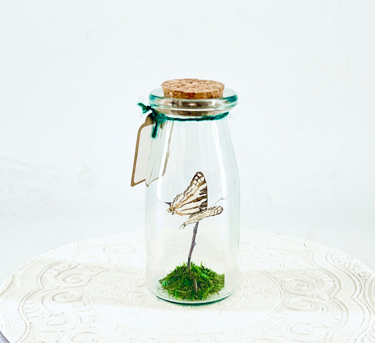 Accent Jar | African Map Butterfly | Brown White Stripes | Tabletop Display