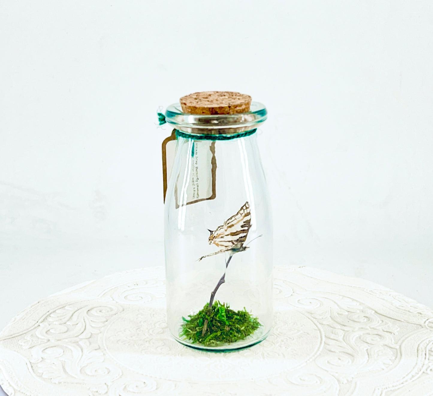 Accent Jar | African Map Butterfly | Brown White Stripes | Tabletop Display