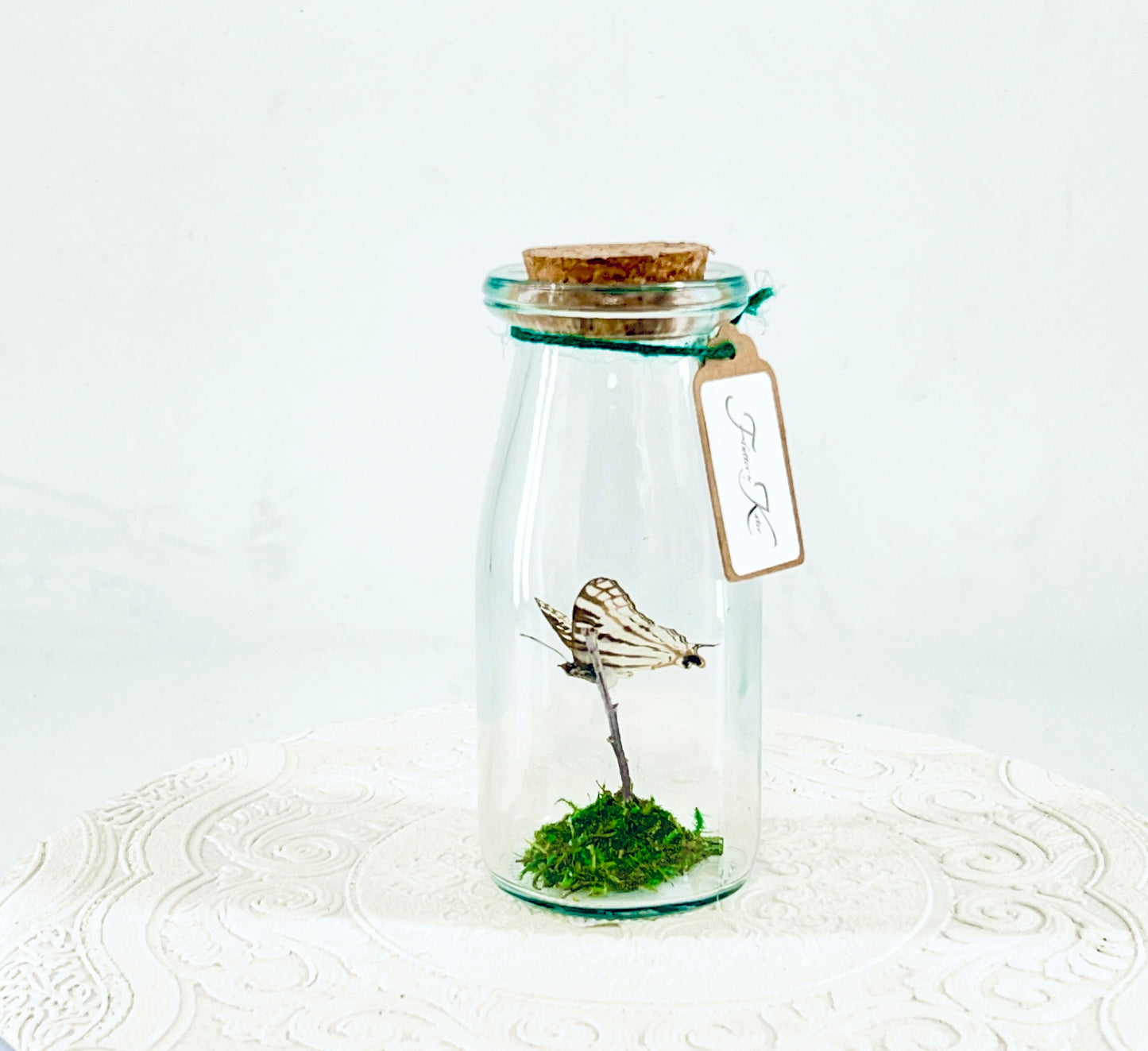 Accent Jar | African Map Butterfly | Brown White Stripes | Tabletop Display