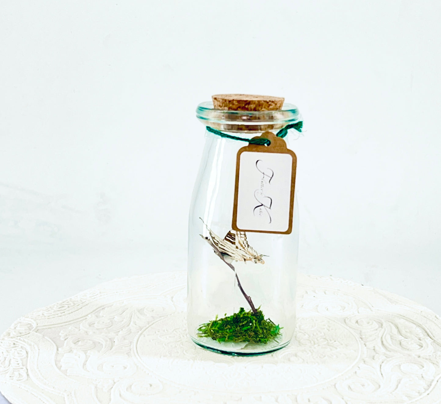 Accent Jar | African Map Butterfly | Brown White Stripes | Tabletop Display