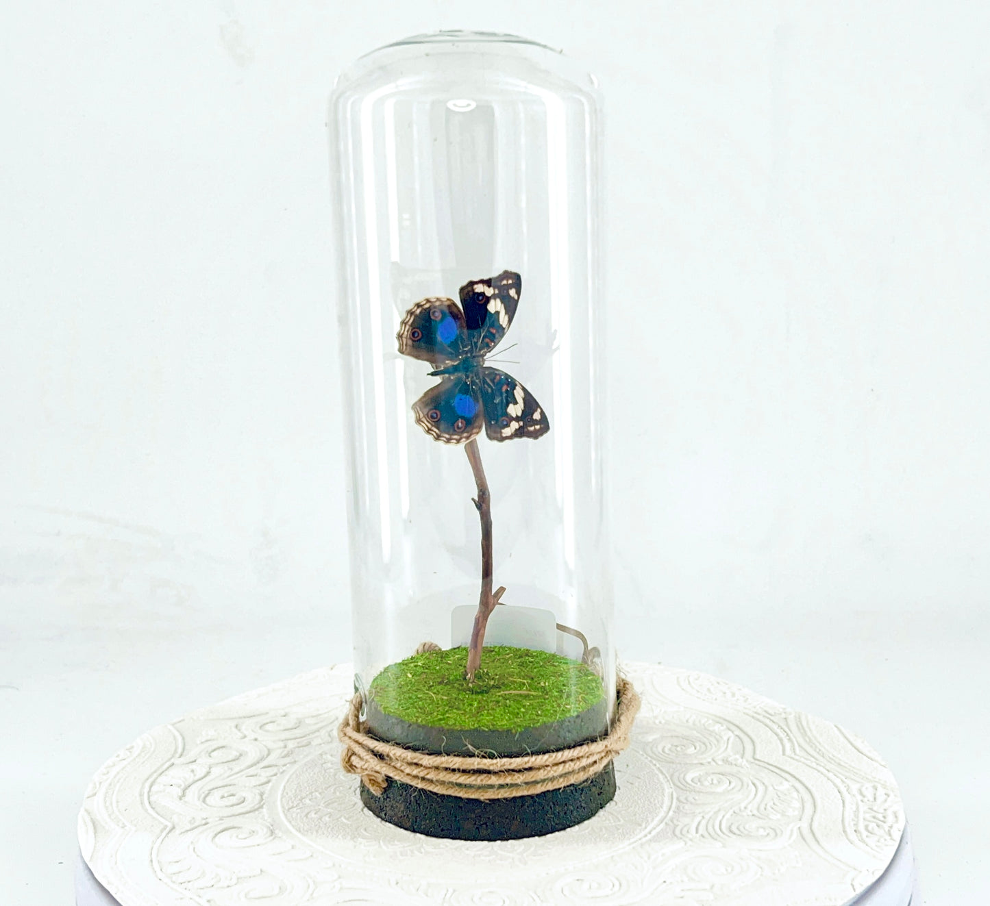 Pendant | Blue Spot Pansy Butterfly | Bluish Purple Spots Brown White | Tabletop or Hanging Display