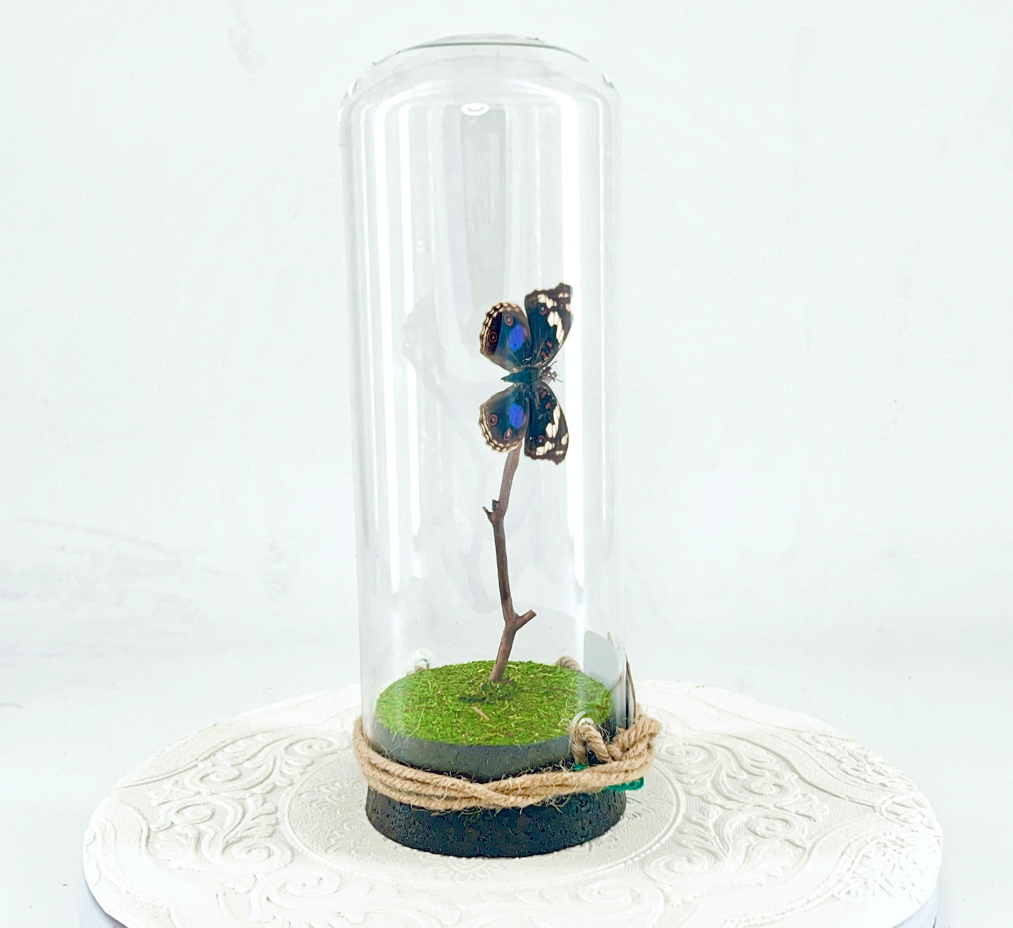 Pendant | Blue Spot Pansy Butterfly | Bluish Purple Spots Brown White | Tabletop or Hanging Display