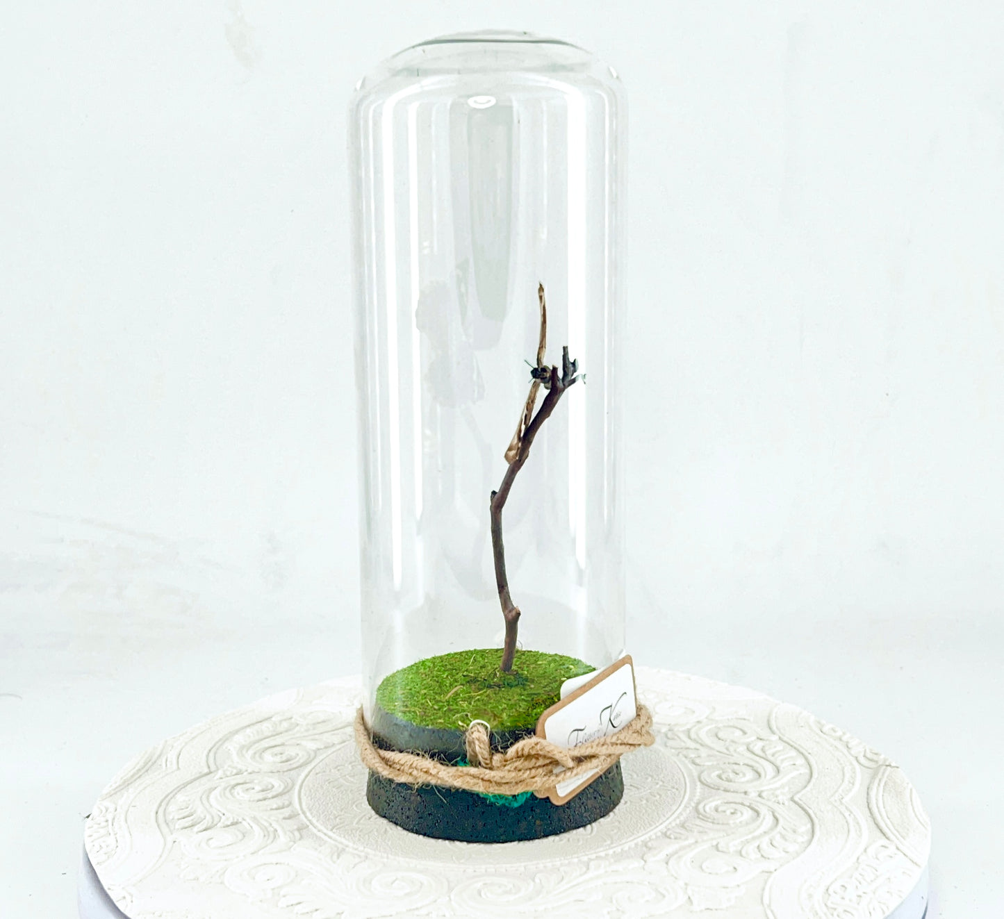 Pendant | Blue Spot Pansy Butterfly | Bluish Purple Spots Brown White | Tabletop or Hanging Display