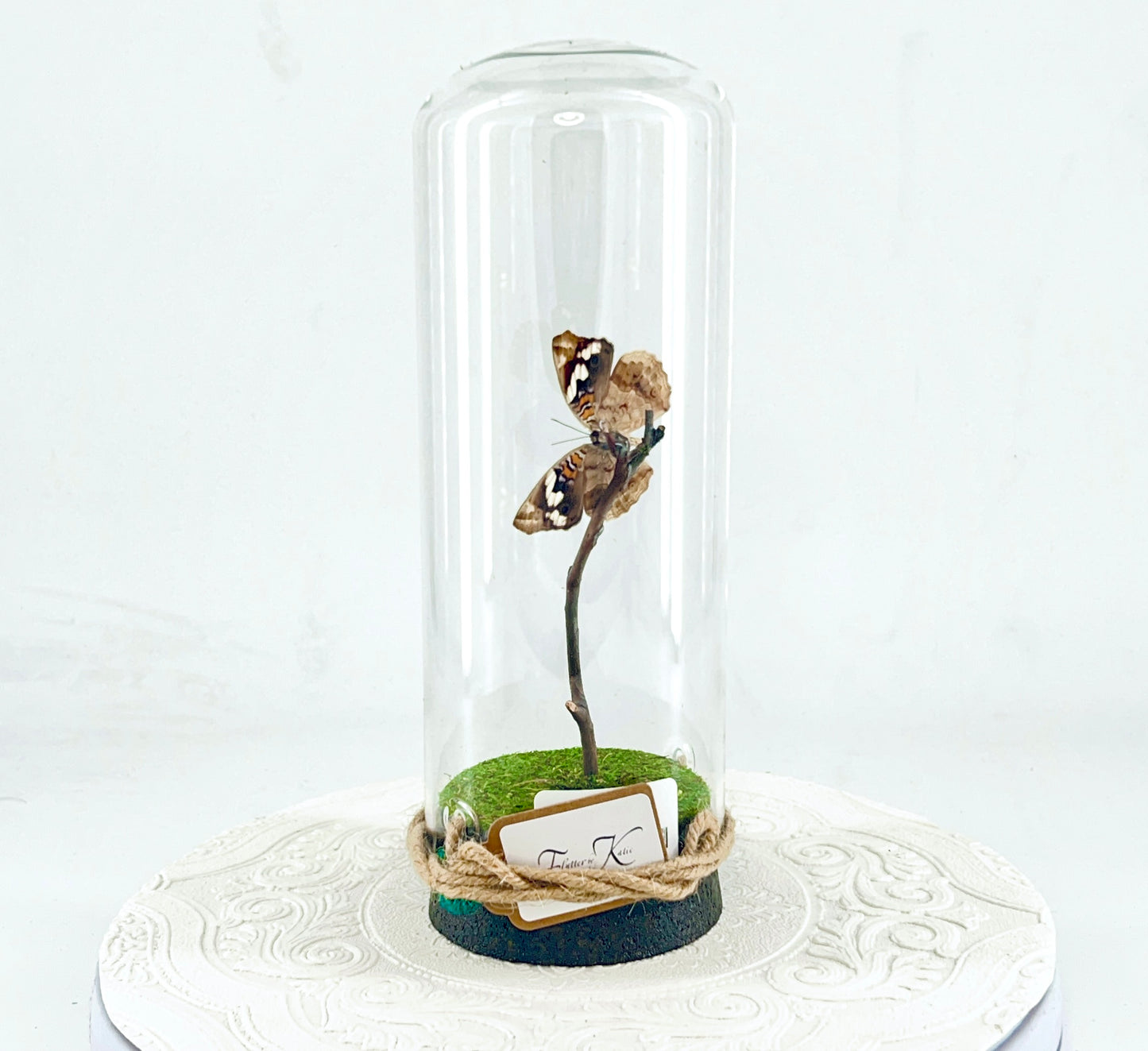 Pendant | Blue Spot Pansy Butterfly | Bluish Purple Spots Brown White | Tabletop or Hanging Display