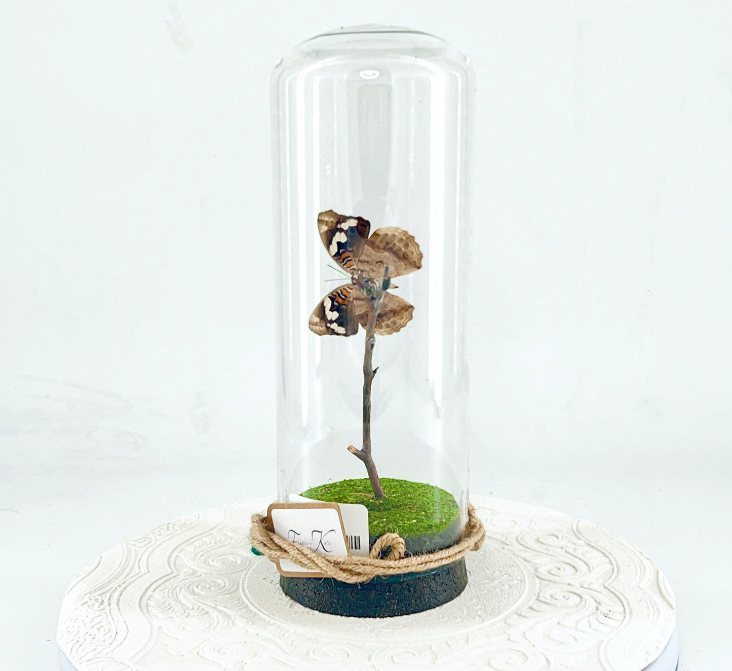 Pendant | Blue Spot Pansy Butterfly | Bluish Purple Spots Brown White | Tabletop or Hanging Display