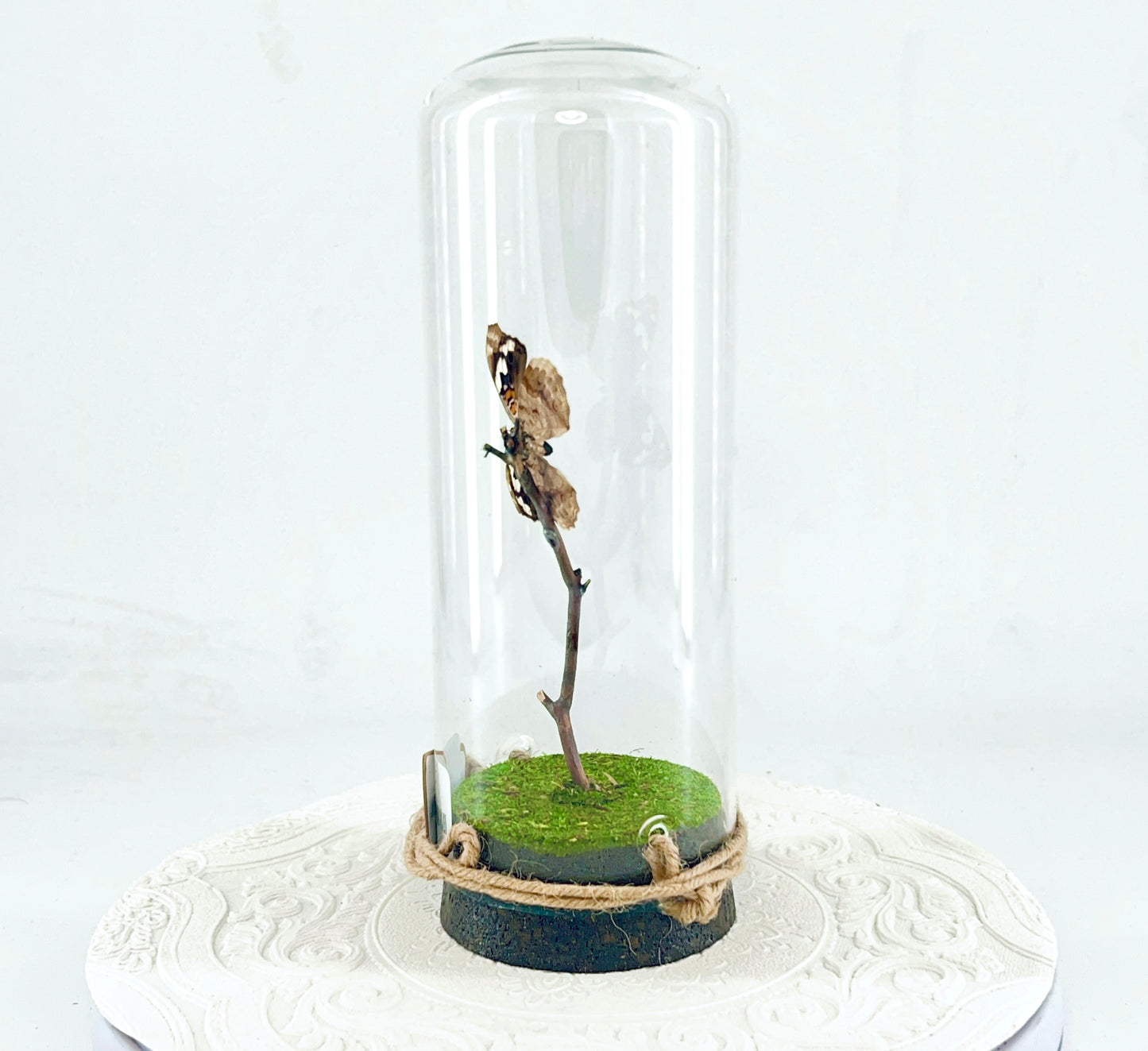 Pendant | Blue Spot Pansy Butterfly | Bluish Purple Spots Brown White | Tabletop or Hanging Display