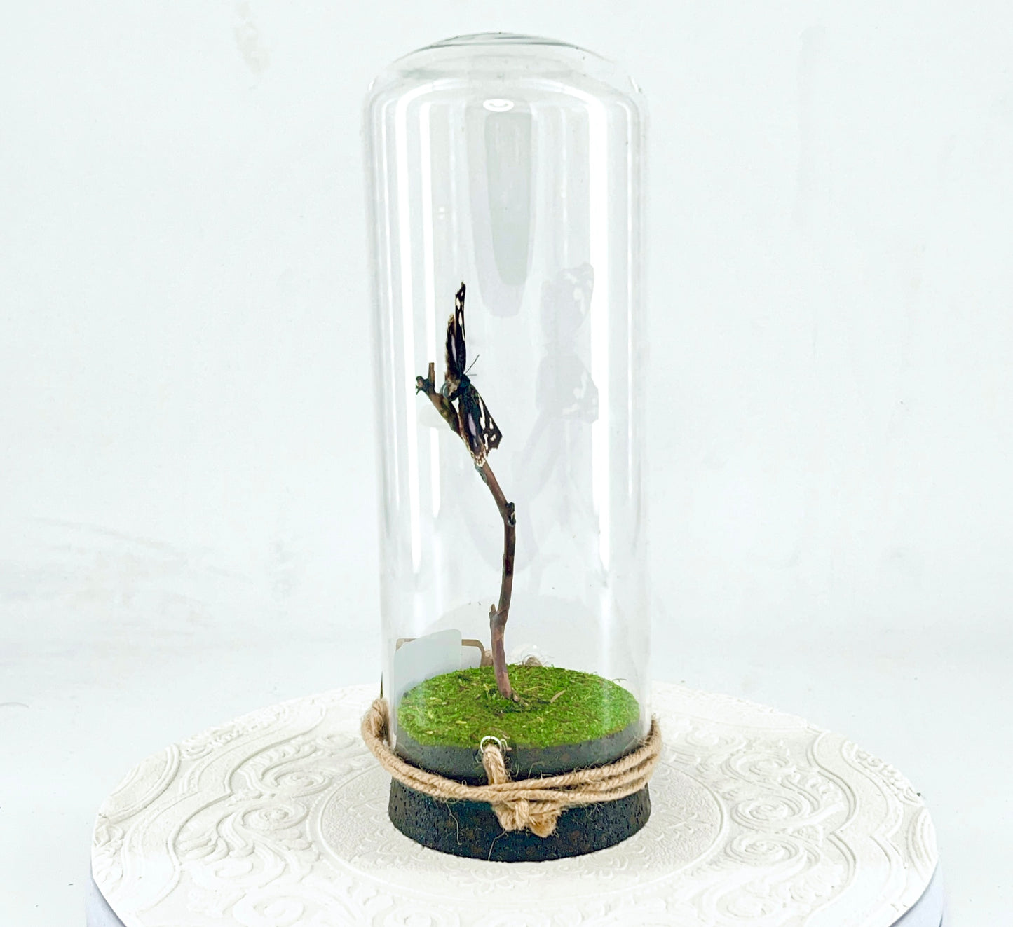 Pendant | Blue Spot Pansy Butterfly | Bluish Purple Spots Brown White | Tabletop or Hanging Display