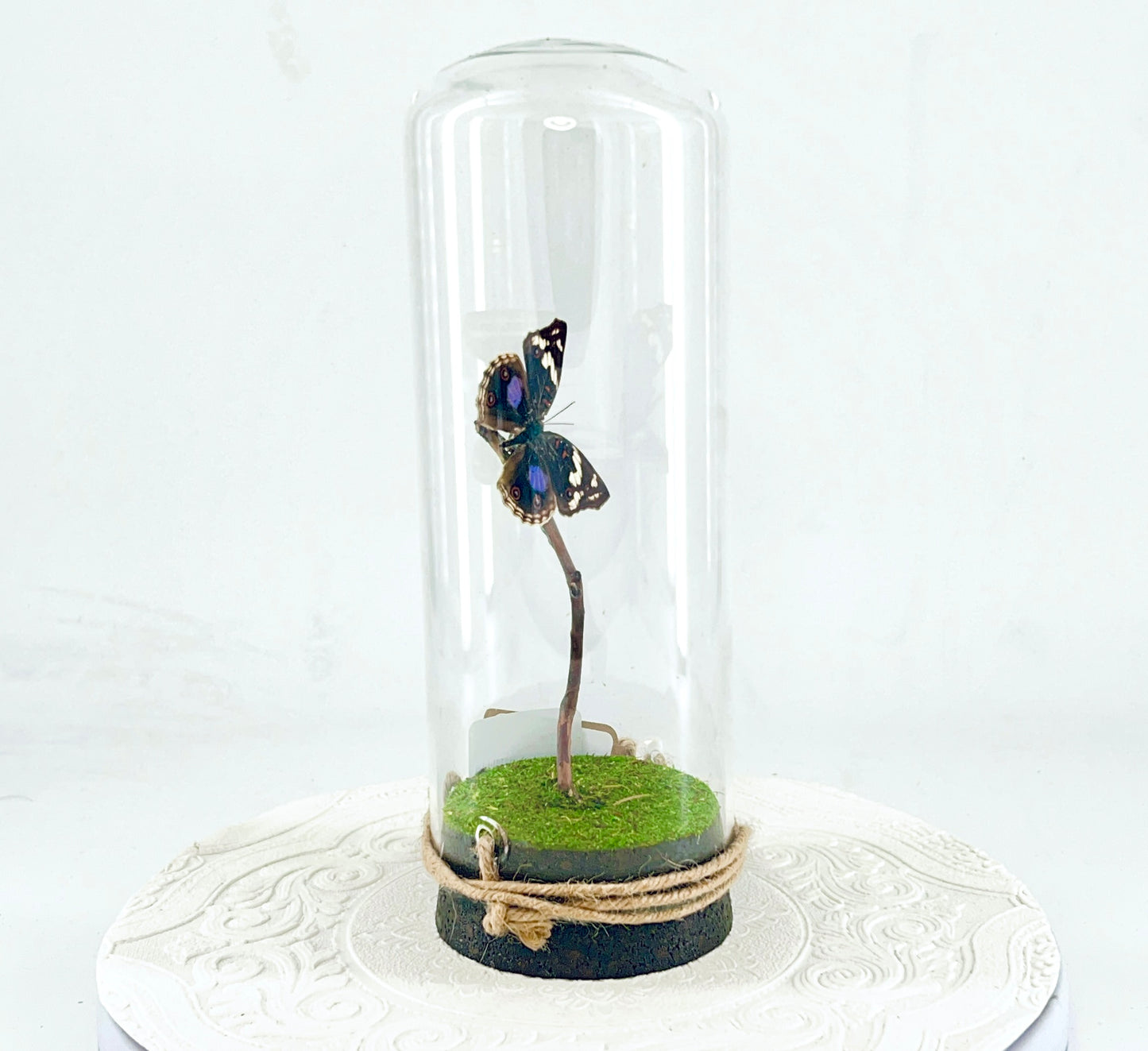 Pendant | Blue Spot Pansy Butterfly | Bluish Purple Spots Brown White | Tabletop or Hanging Display