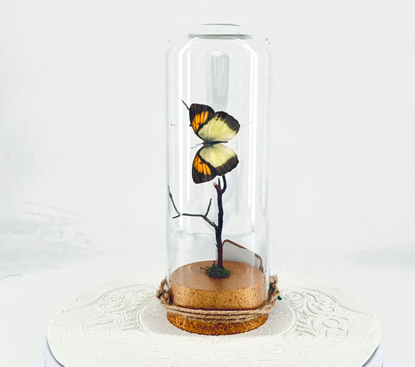 Pendant | Yellow Orange Tip Butterfly | Yellow Orange Black | Tabletop or Hanging Display