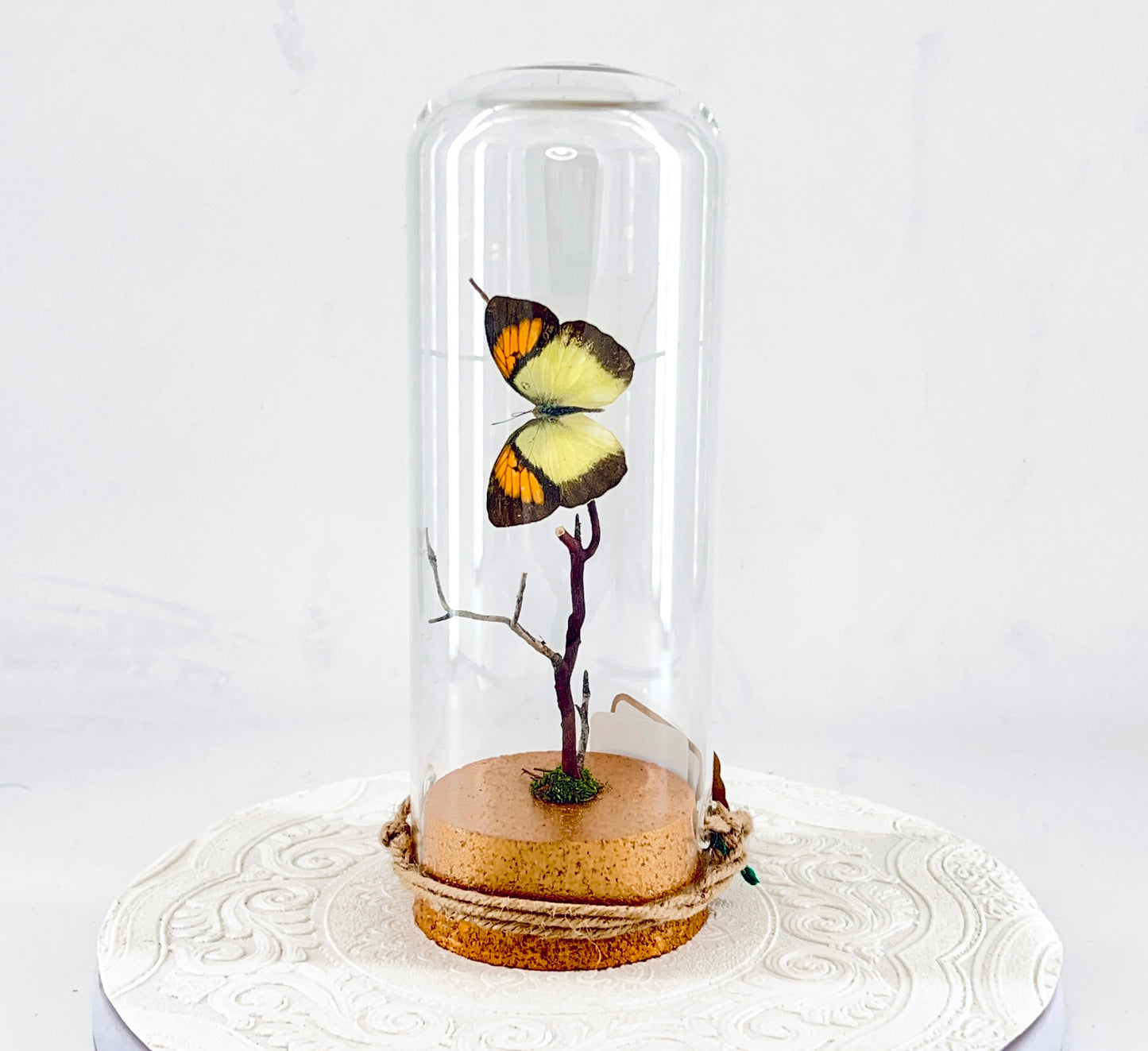 Pendant | Yellow Orange Tip Butterfly | Yellow Orange Black | Tabletop or Hanging Display