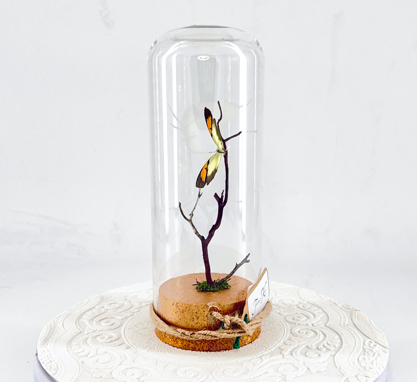 Pendant | Yellow Orange Tip Butterfly | Yellow Orange Black | Tabletop or Hanging Display