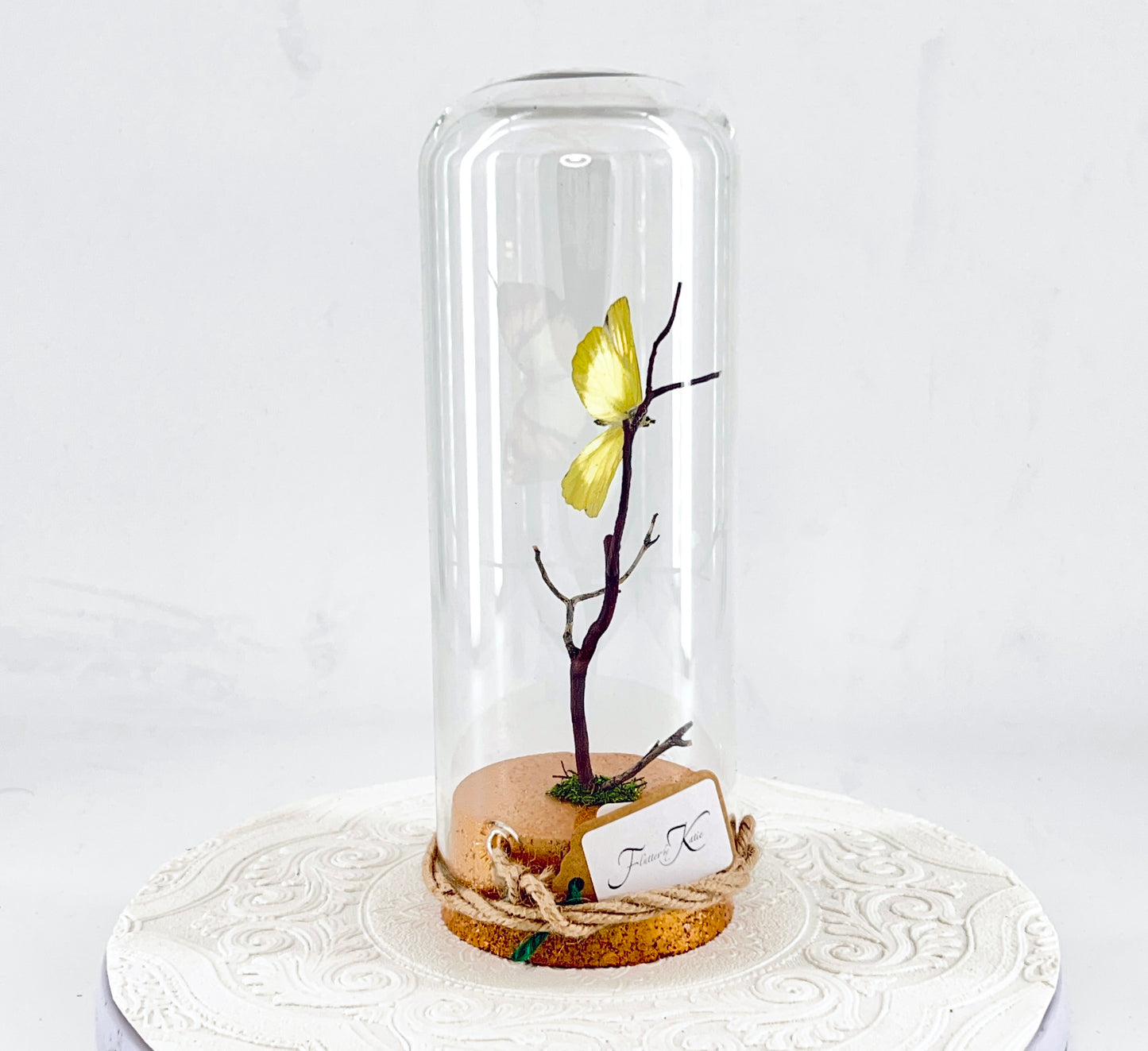 Pendant | Yellow Orange Tip Butterfly | Yellow Orange Black | Tabletop or Hanging Display
