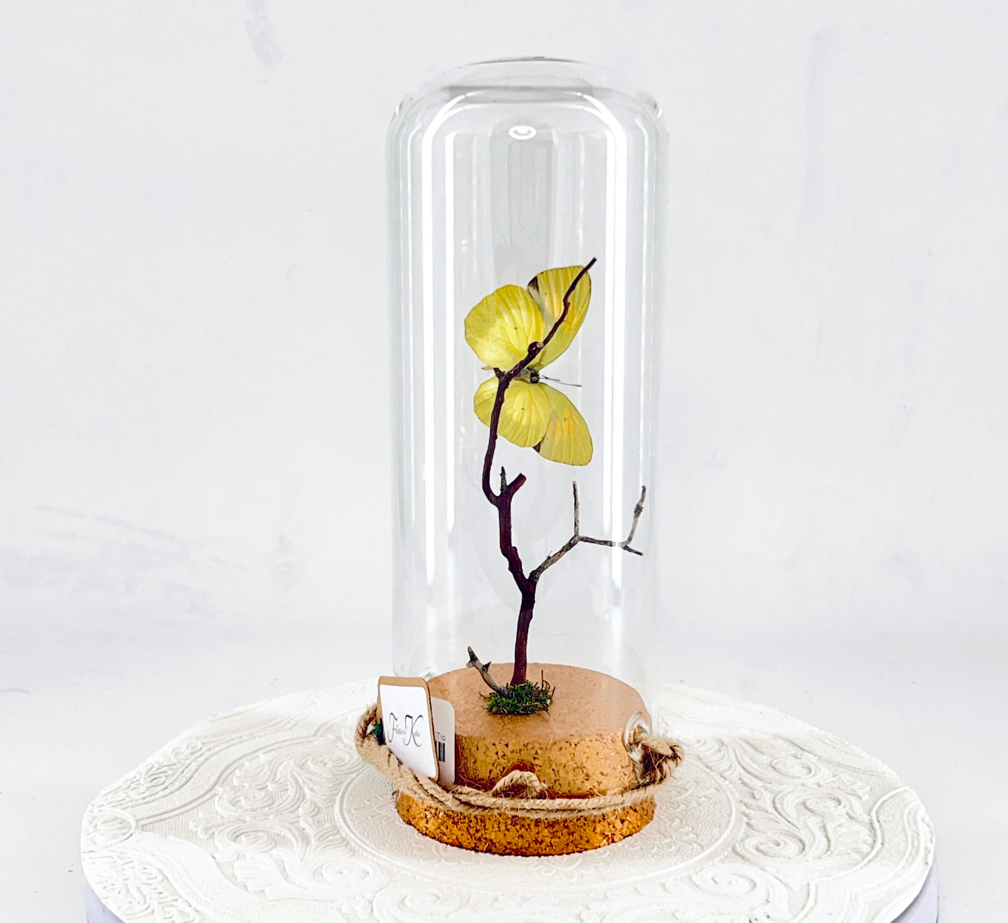 Pendant | Yellow Orange Tip Butterfly | Yellow Orange Black | Tabletop or Hanging Display