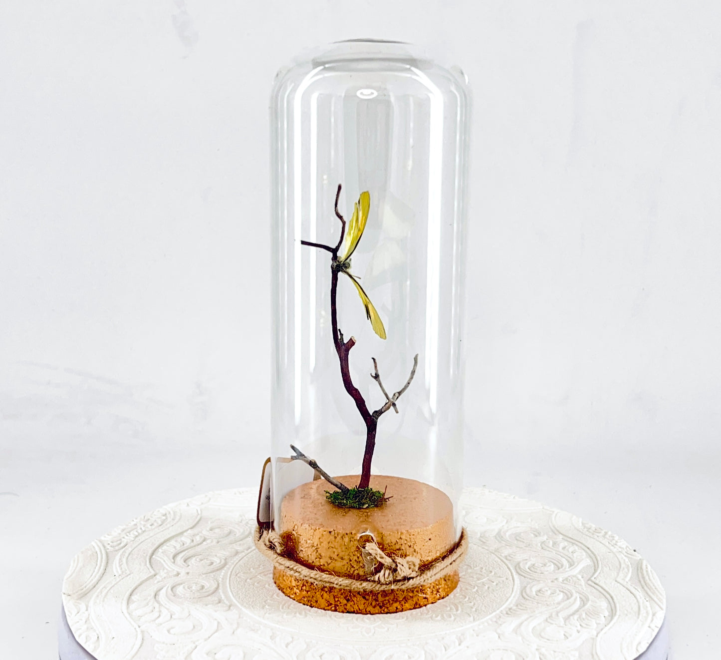 Pendant | Yellow Orange Tip Butterfly | Yellow Orange Black | Tabletop or Hanging Display