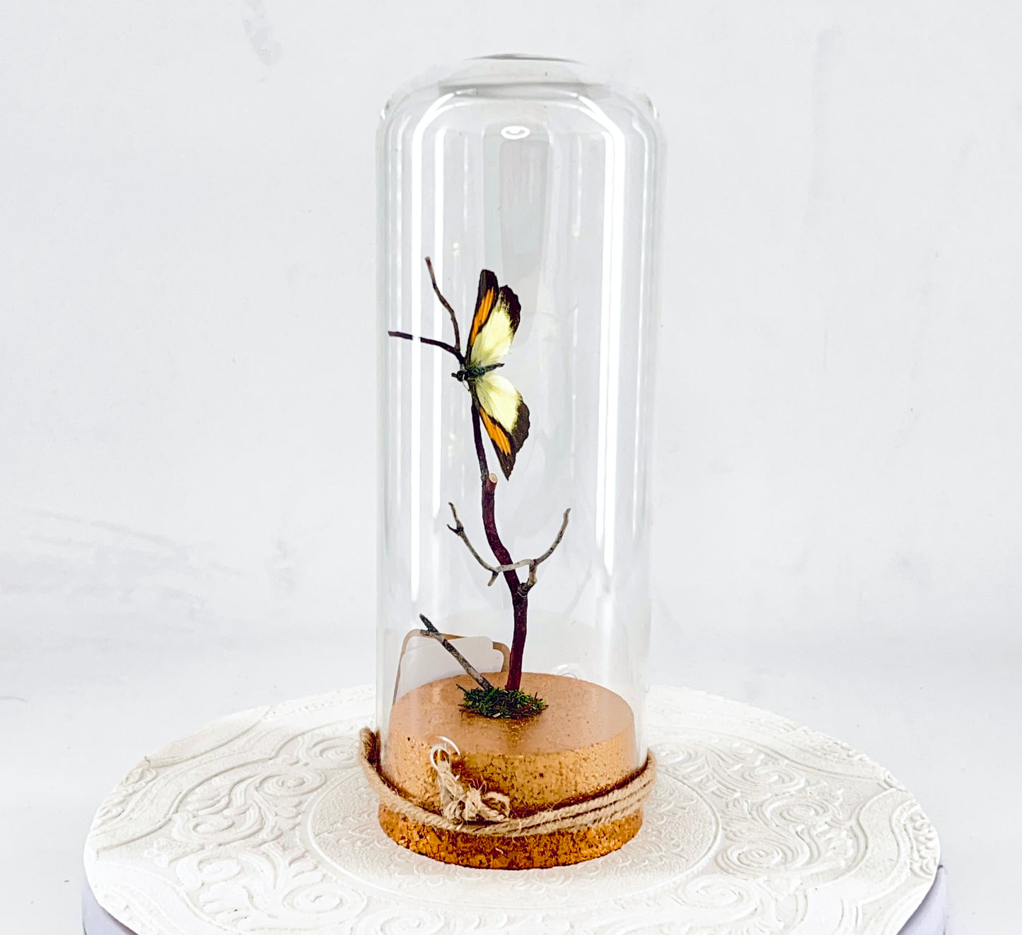 Pendant | Yellow Orange Tip Butterfly | Yellow Orange Black | Tabletop or Hanging Display