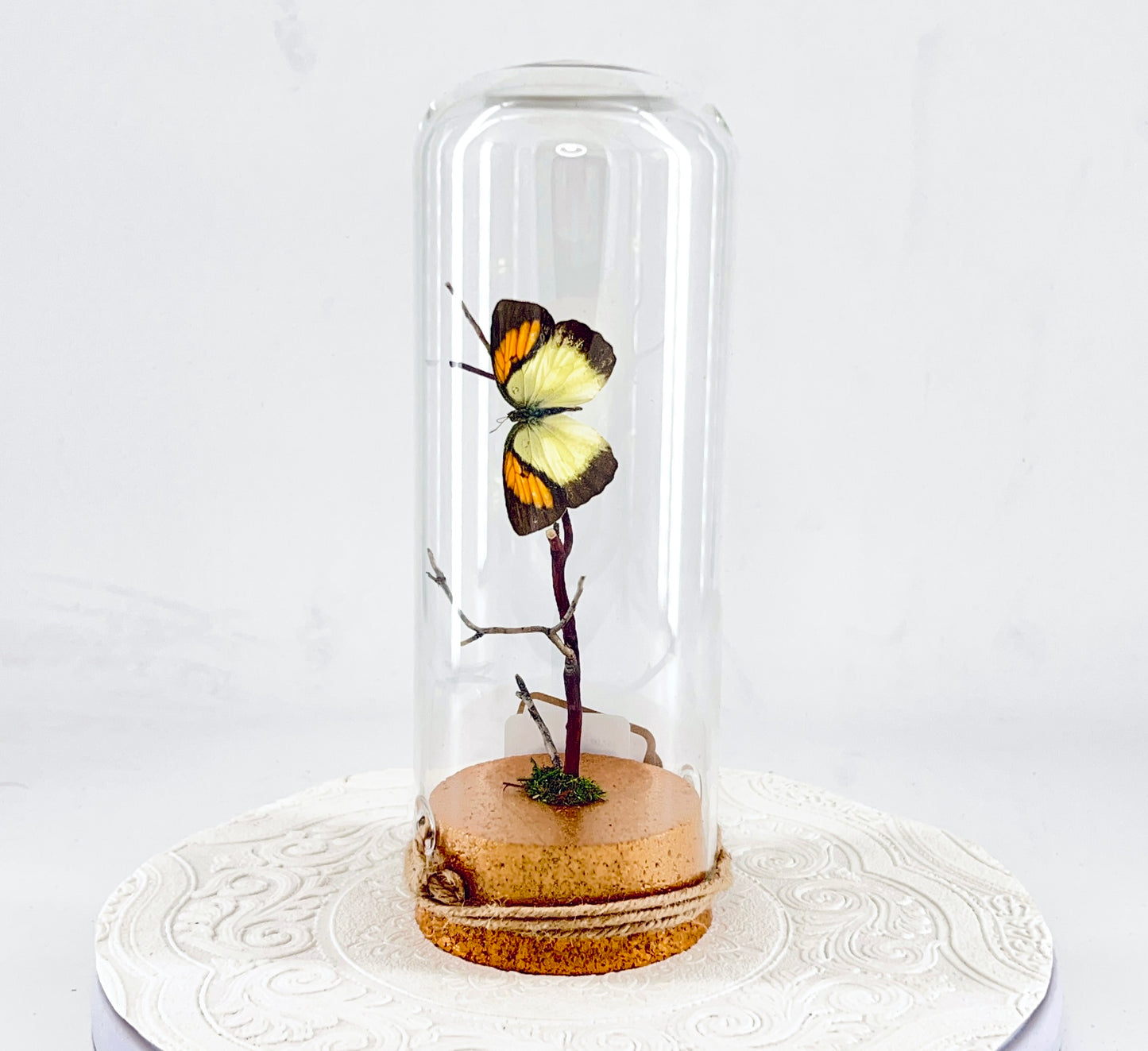 Pendant | Yellow Orange Tip Butterfly | Yellow Orange Black | Tabletop or Hanging Display
