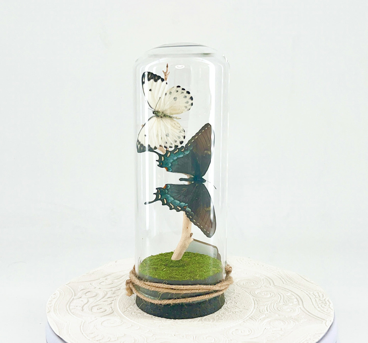 Pendant | Calypso & Eastern Tiger Swallowtail [dark morph] Butterflies | White Black Yellow Spots | Tabletop or Hanging Display