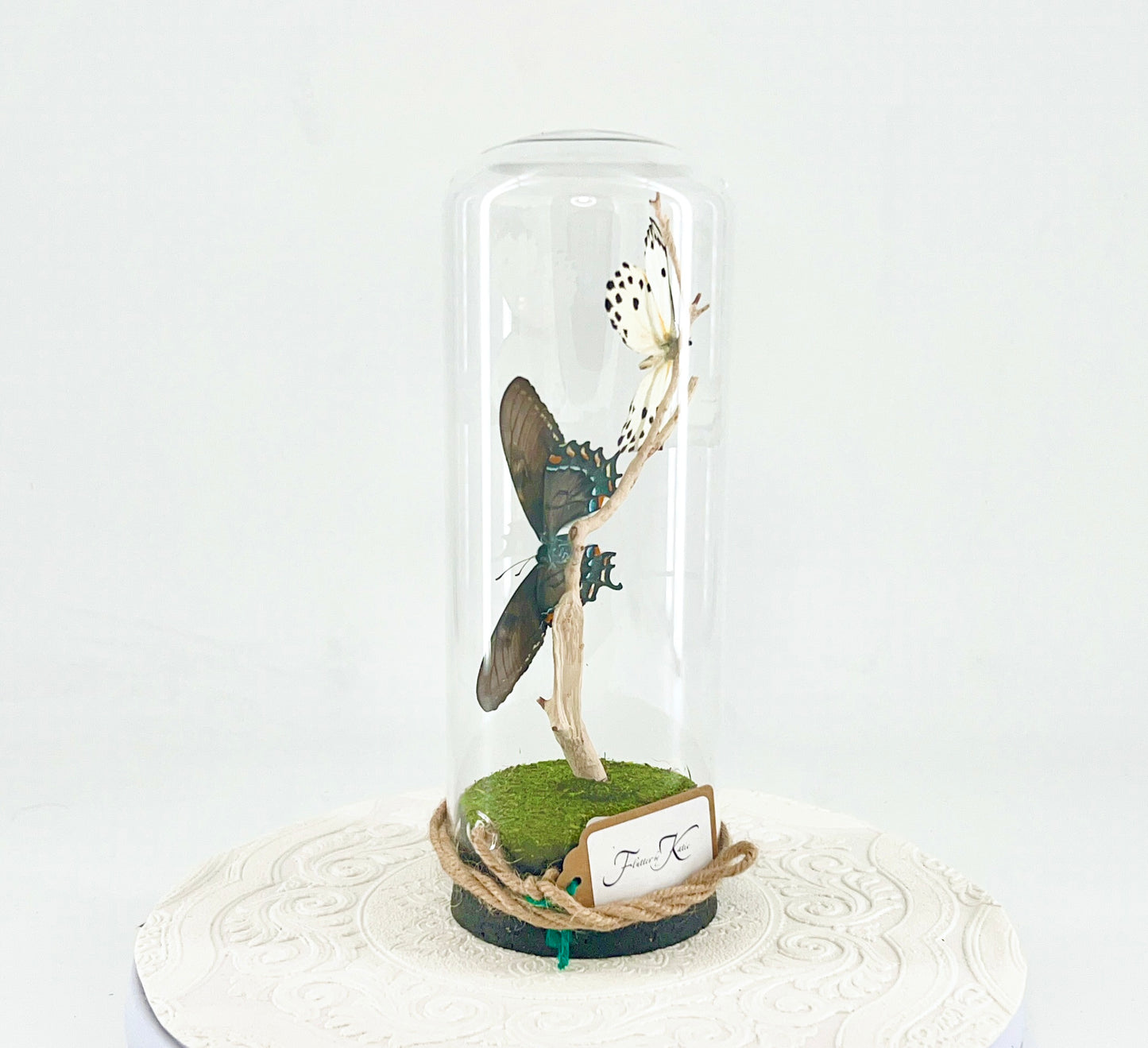 Pendant | Calypso & Eastern Tiger Swallowtail [dark morph] Butterflies | White Black Yellow Spots | Tabletop or Hanging Display
