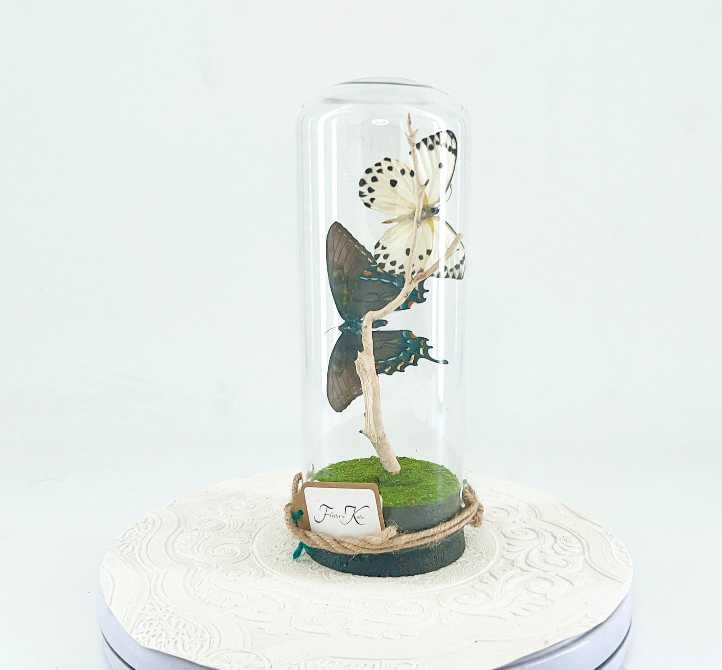 Pendant | Calypso & Eastern Tiger Swallowtail [dark morph] Butterflies | White Black Yellow Spots | Tabletop or Hanging Display