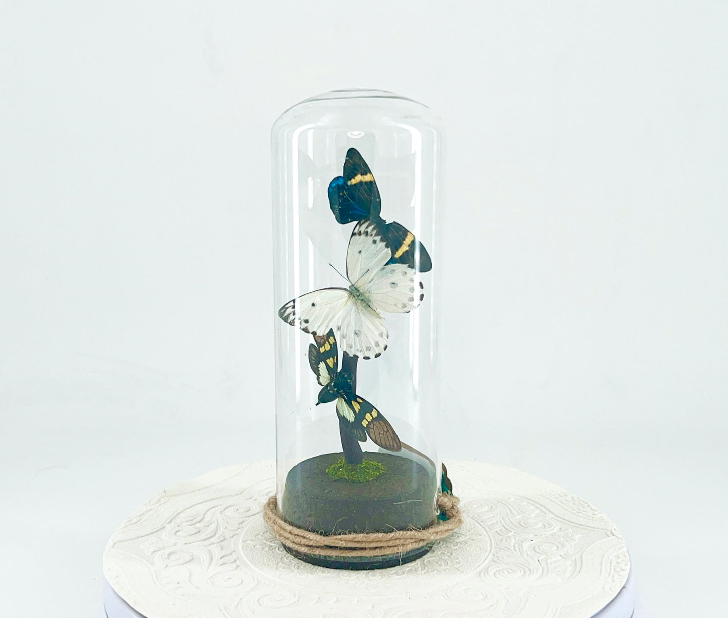 Pendant | Moth Butterfly Cicada Combo | Blue Yellow Green White Black | Tabletop or Hanging Display