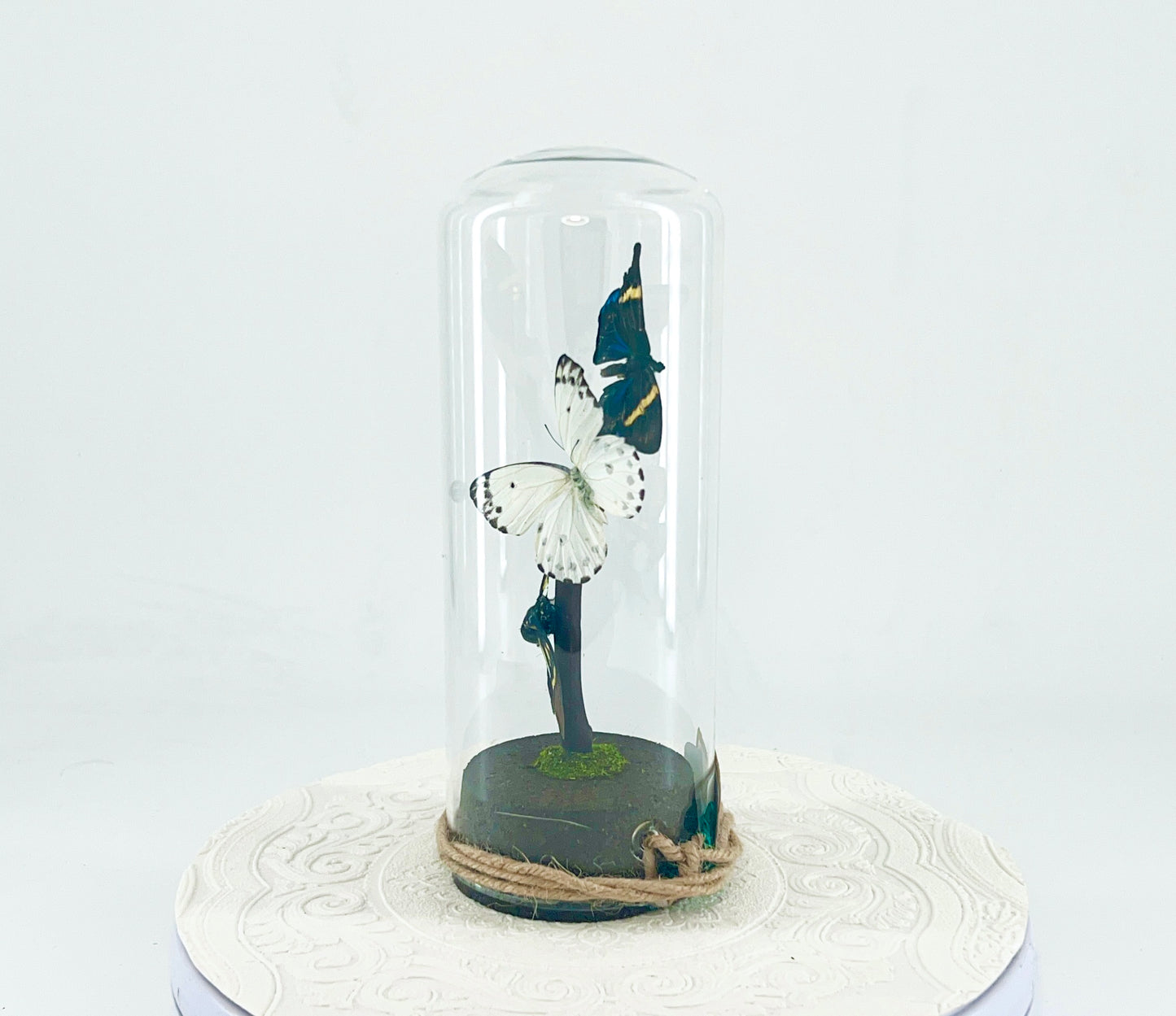 Pendant | Moth Butterfly Cicada Combo | Blue Yellow Green White Black | Tabletop or Hanging Display