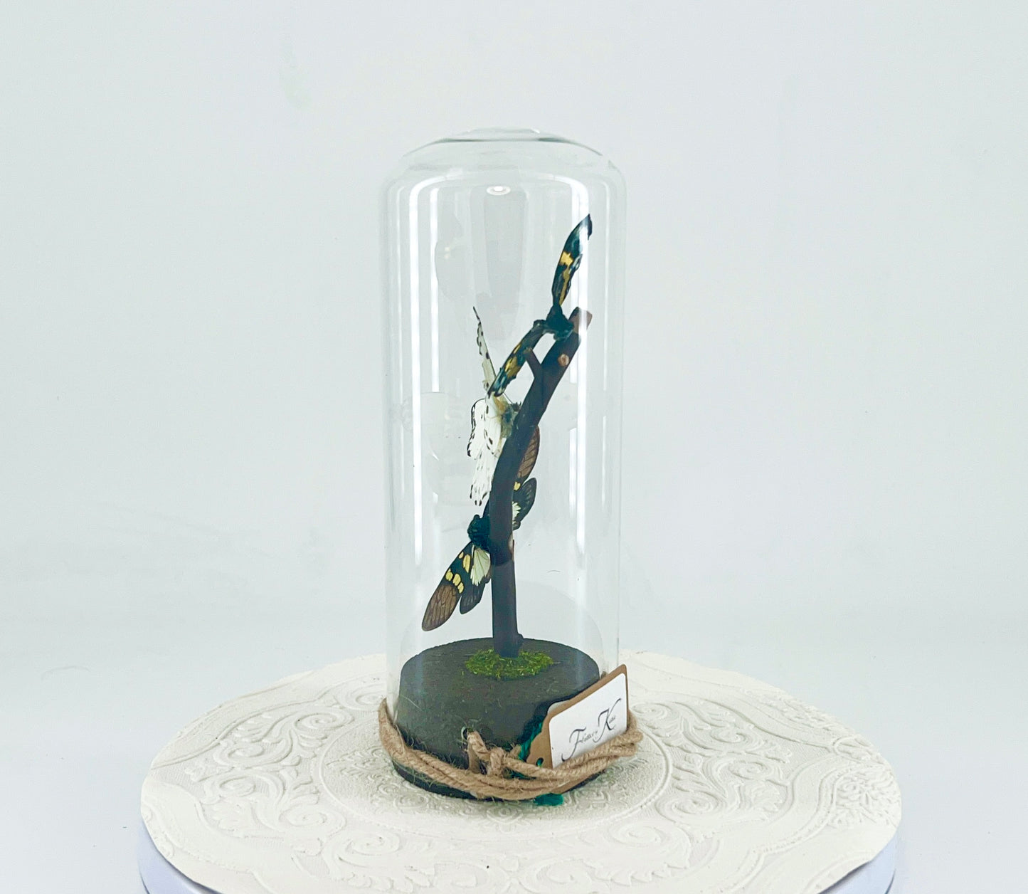 Pendant | Moth Butterfly Cicada Combo | Blue Yellow Green White Black | Tabletop or Hanging Display