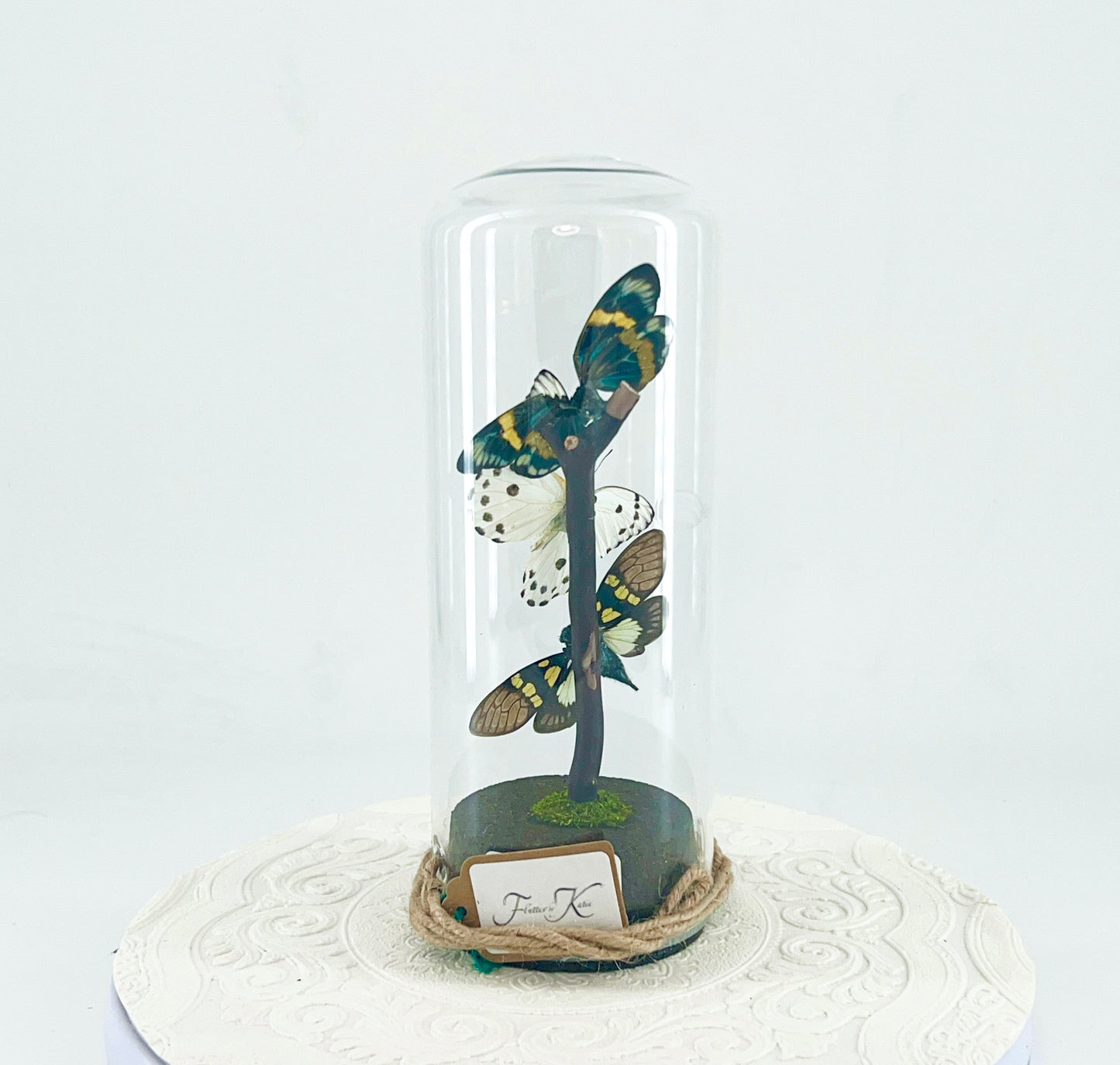 Pendant | Moth Butterfly Cicada Combo | Blue Yellow Green White Black | Tabletop or Hanging Display