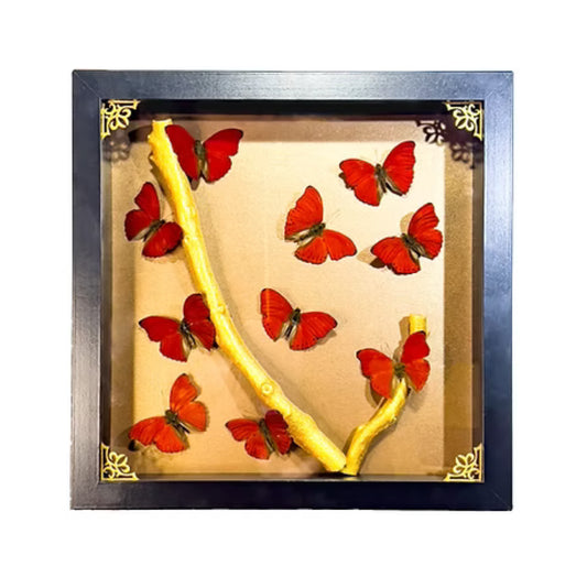 Red Glider Triptych