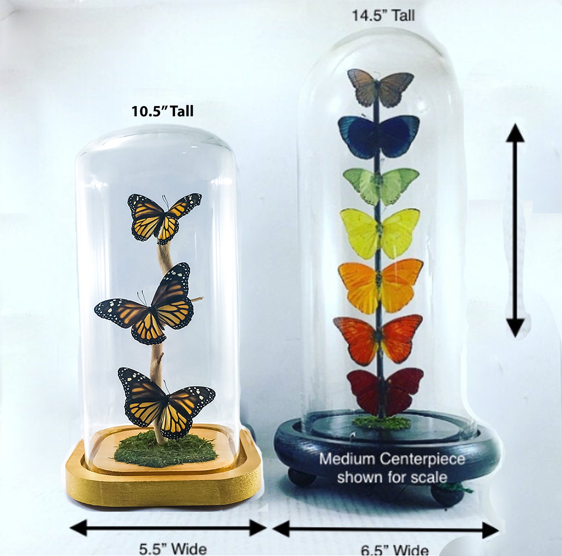 Small Centerpiece | Red Glider Butterfly | Red | Flutter by Katie | Sculpture Art | Butterfly Display | Africa