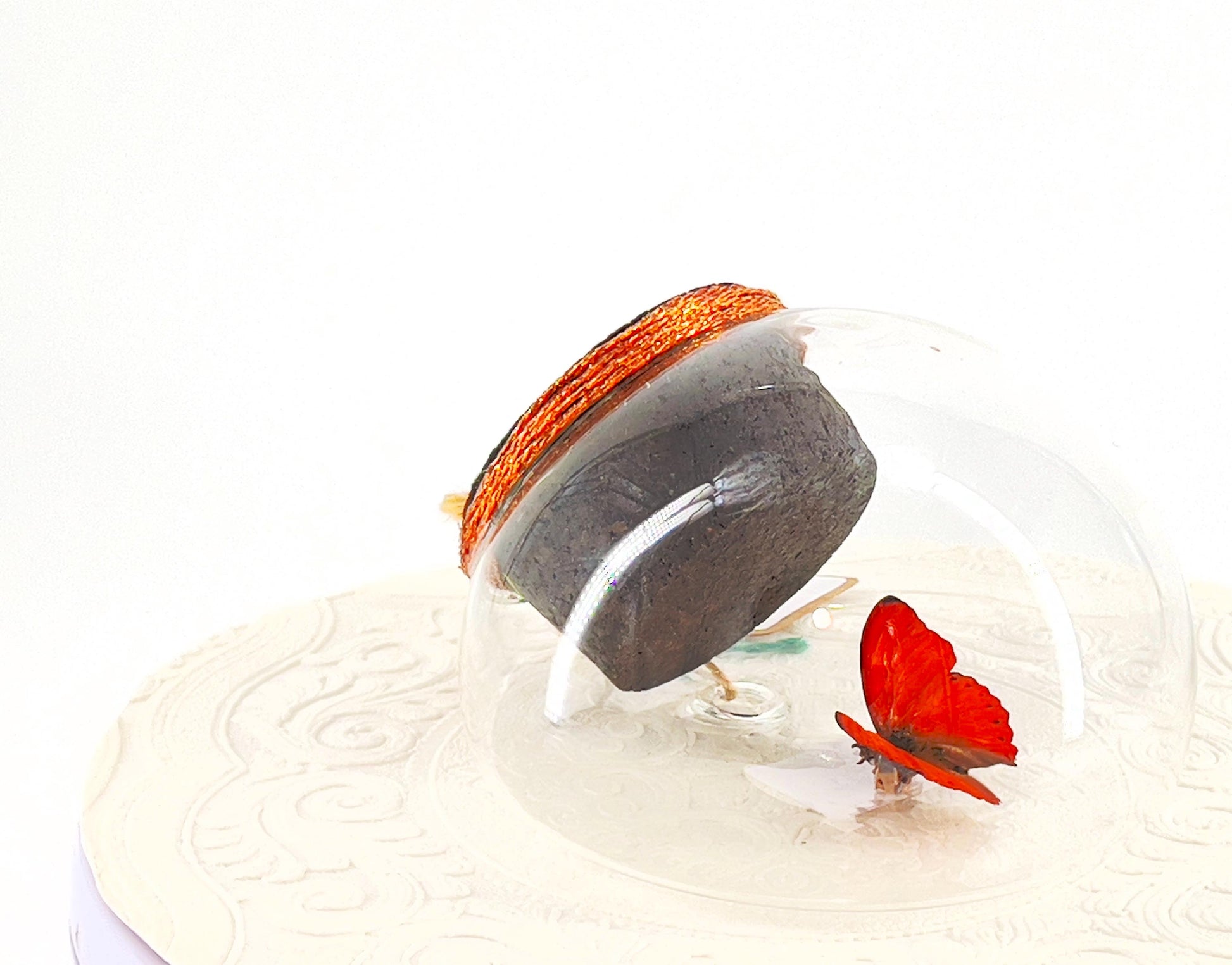 Droplet | Tabletop | Wall Hanging | Red Glider | Africa | Flutter by Katie | Butterfly Sculpture Art | Butterfly Display | Glass Bubble