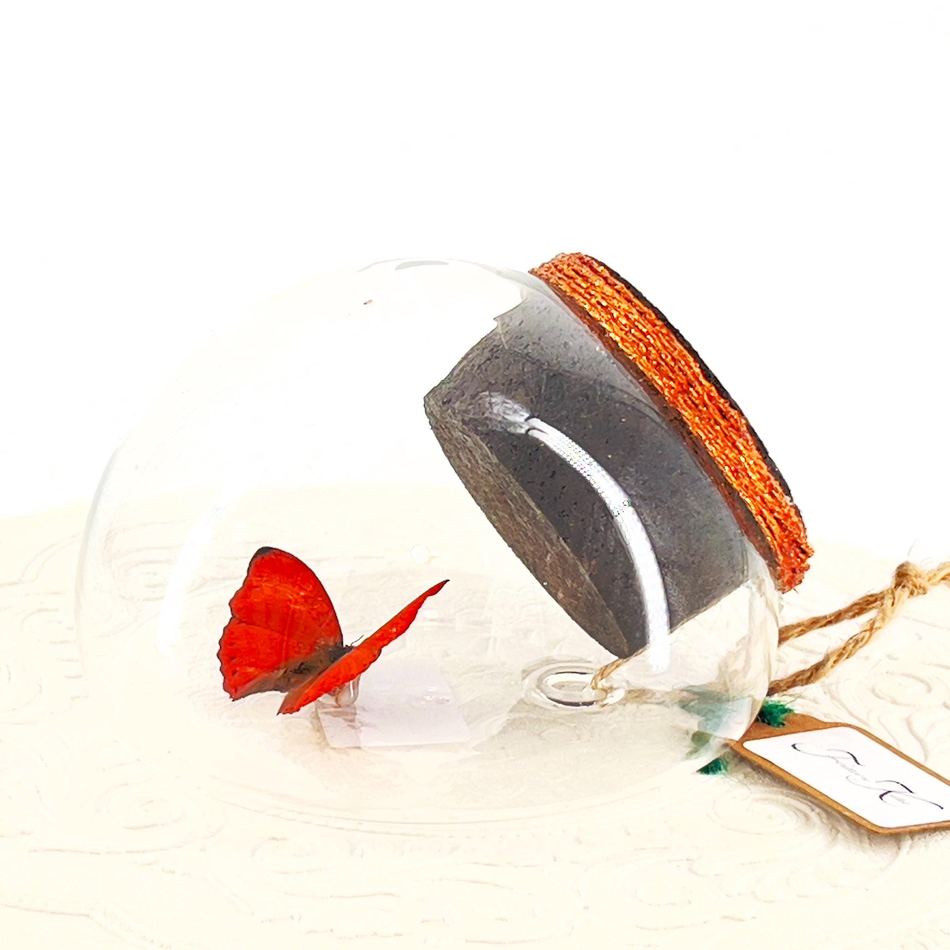 Droplet | Tabletop | Wall Hanging | Red Glider | Africa | Flutter by Katie | Butterfly Sculpture Art | Butterfly Display | Glass Bubble