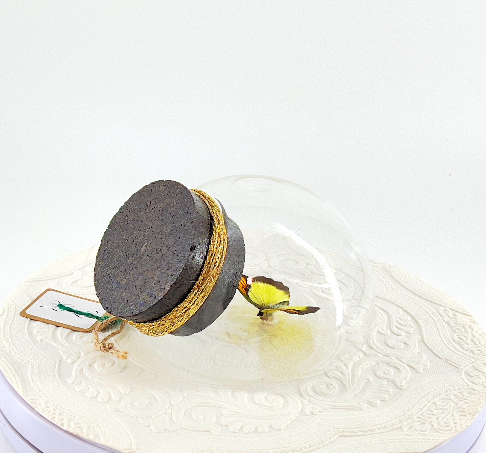 Droplet | Tabletop | Wall Hanging |Yellow Orange Tip | Flutter by Katie | Sculpture Art | Butterfly Display | Glass Bubble | Decor | SE Asia