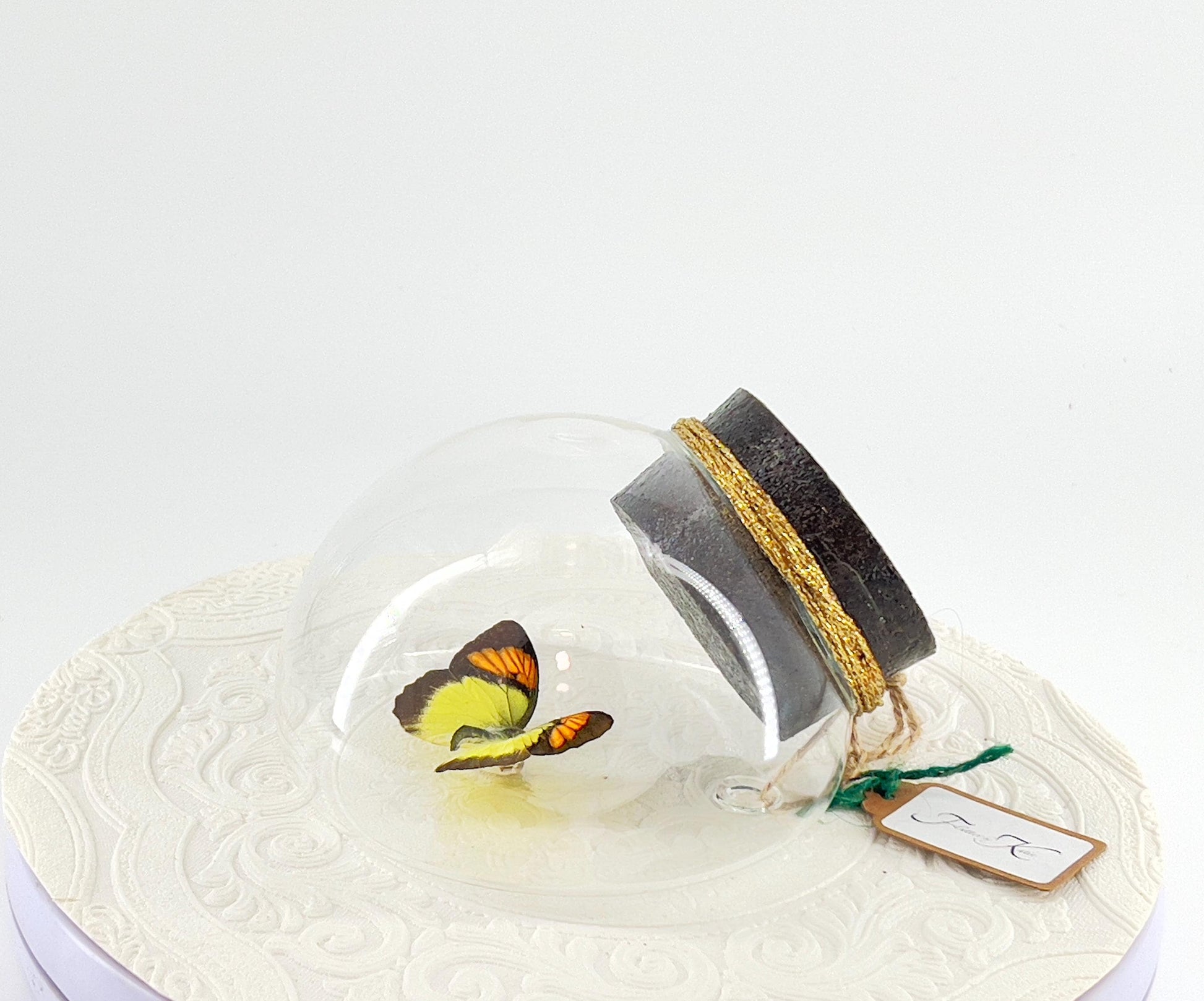 Droplet | Tabletop | Wall Hanging |Yellow Orange Tip | Flutter by Katie | Sculpture Art | Butterfly Display | Glass Bubble | Decor | SE Asia
