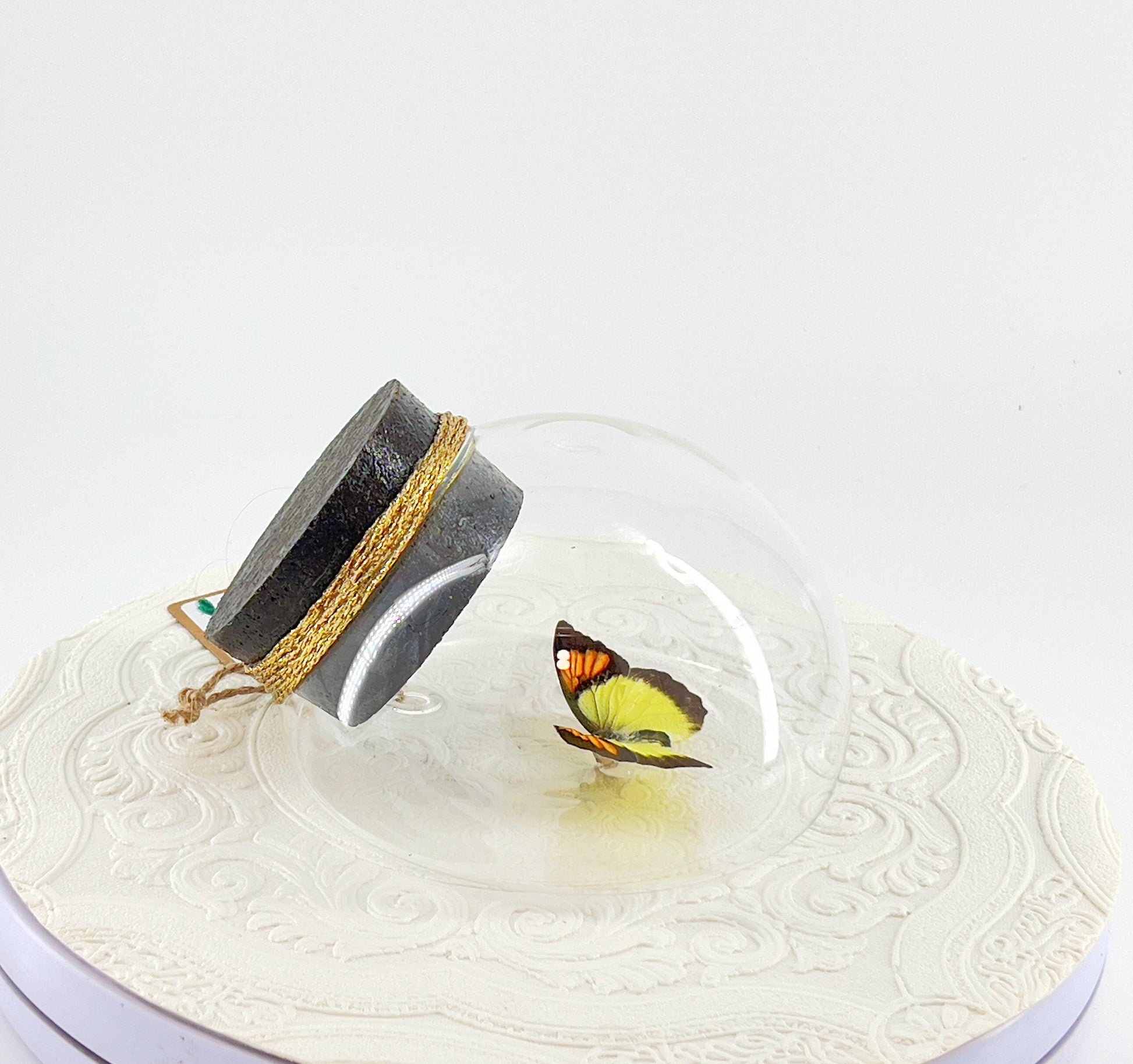 Droplet | Tabletop | Wall Hanging |Yellow Orange Tip | Flutter by Katie | Sculpture Art | Butterfly Display | Glass Bubble | Decor | SE Asia