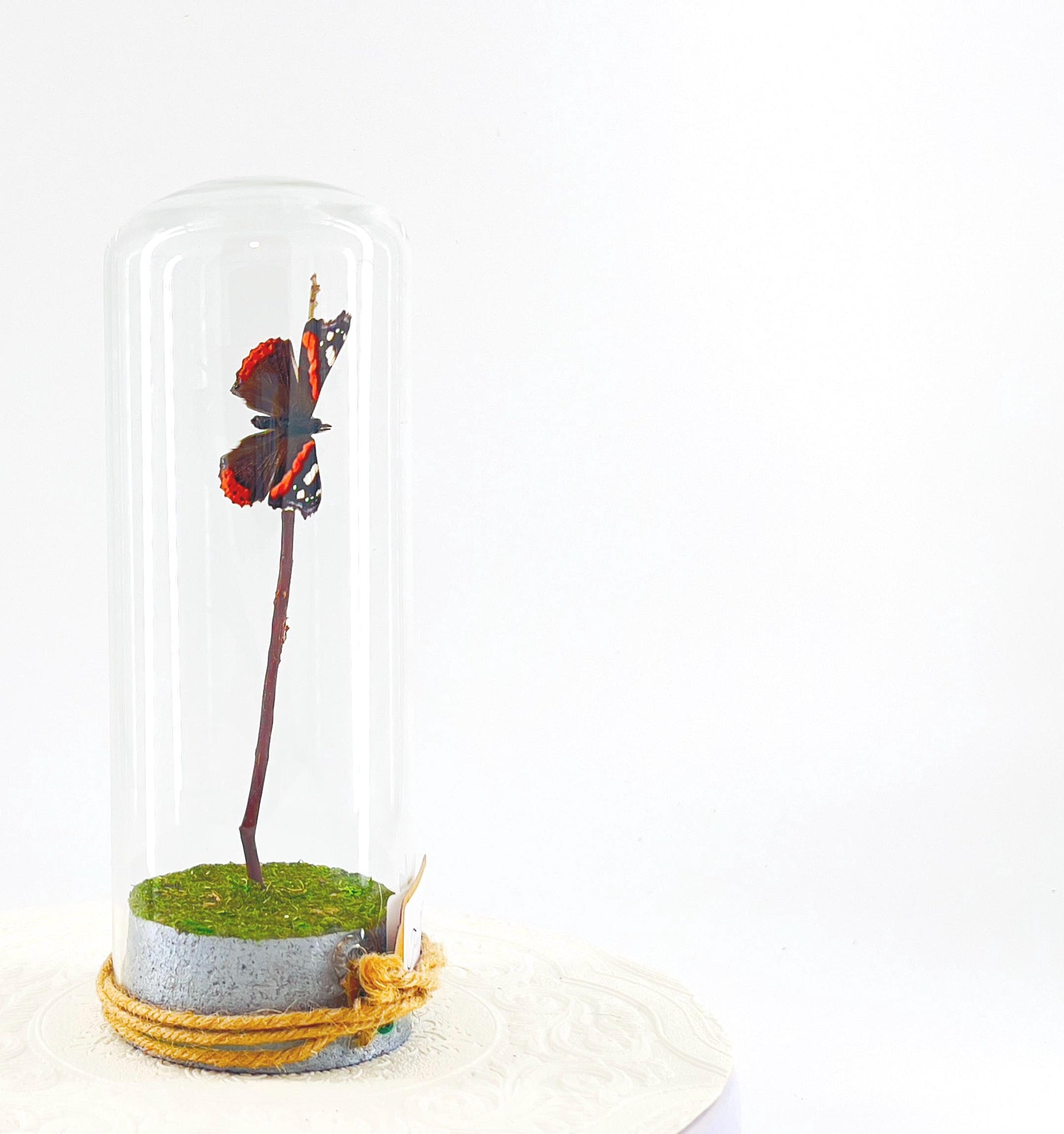 Pendant | Centerpiece | Red Admiral | Orange Black | Flutter by Katie | Butterfly Display | Sculpture Art | Handmade | Home Decor | NY USA