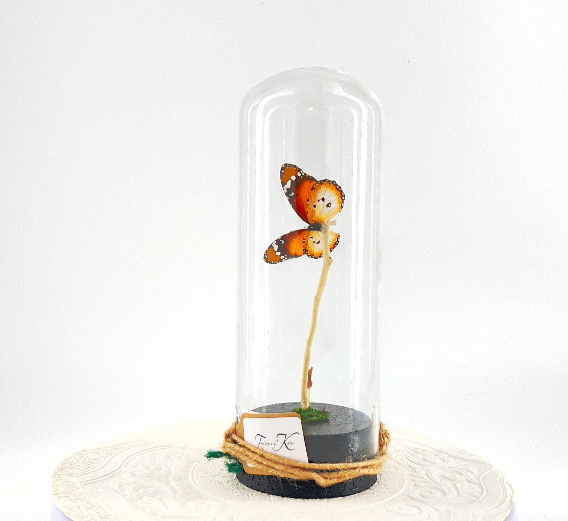 Pendant | Centerpiece | African Monarch | Brown White | Flutter by Katie | Butterfly Display | Sculpture Art | Handmade |Decor| North Africa