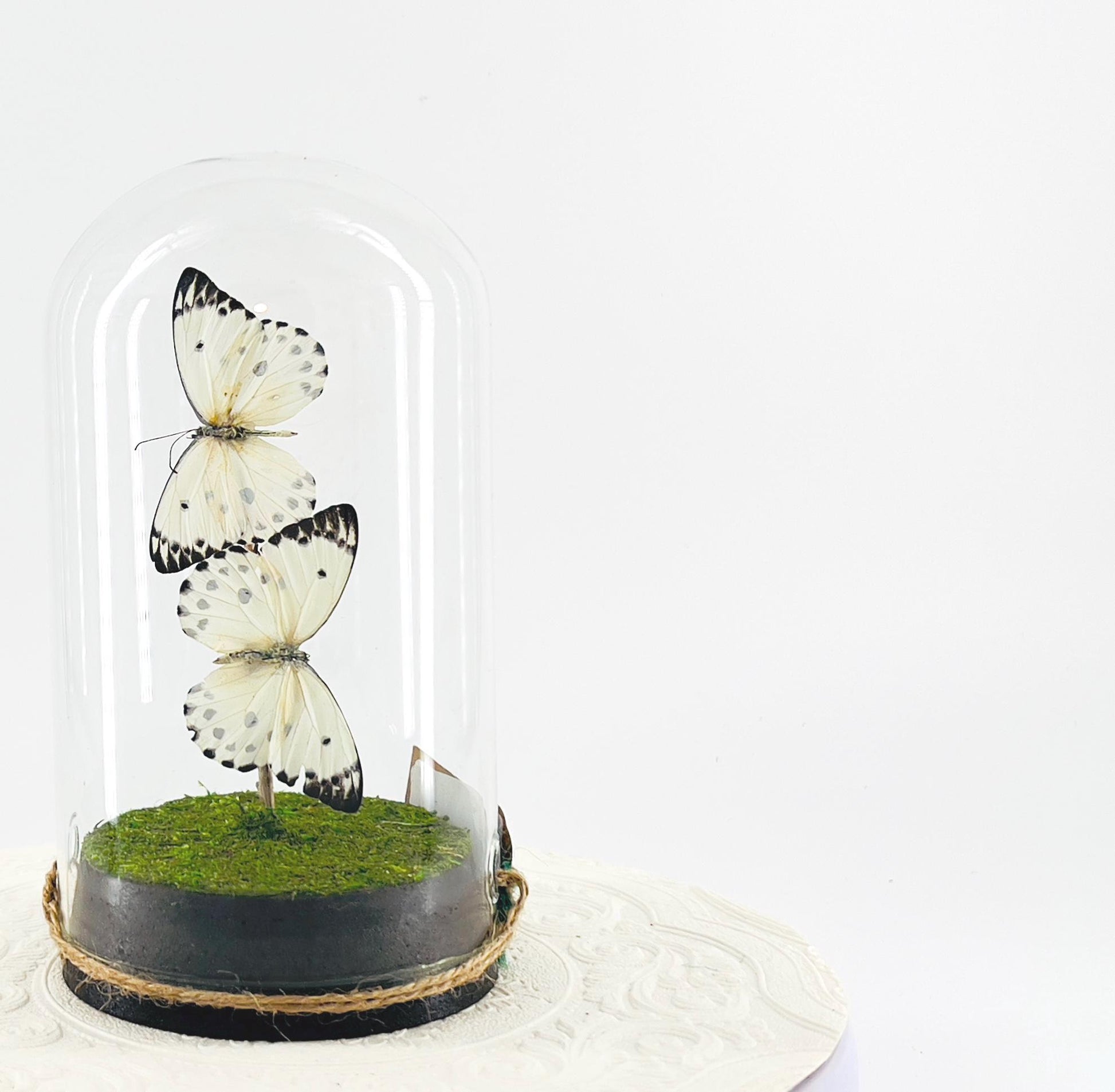 Large Pendant | Double Calypso | White Black Polkadots | Flutter by Katie | Butterfly Sculpture Art | Handmade | Home Decor | Central Africa