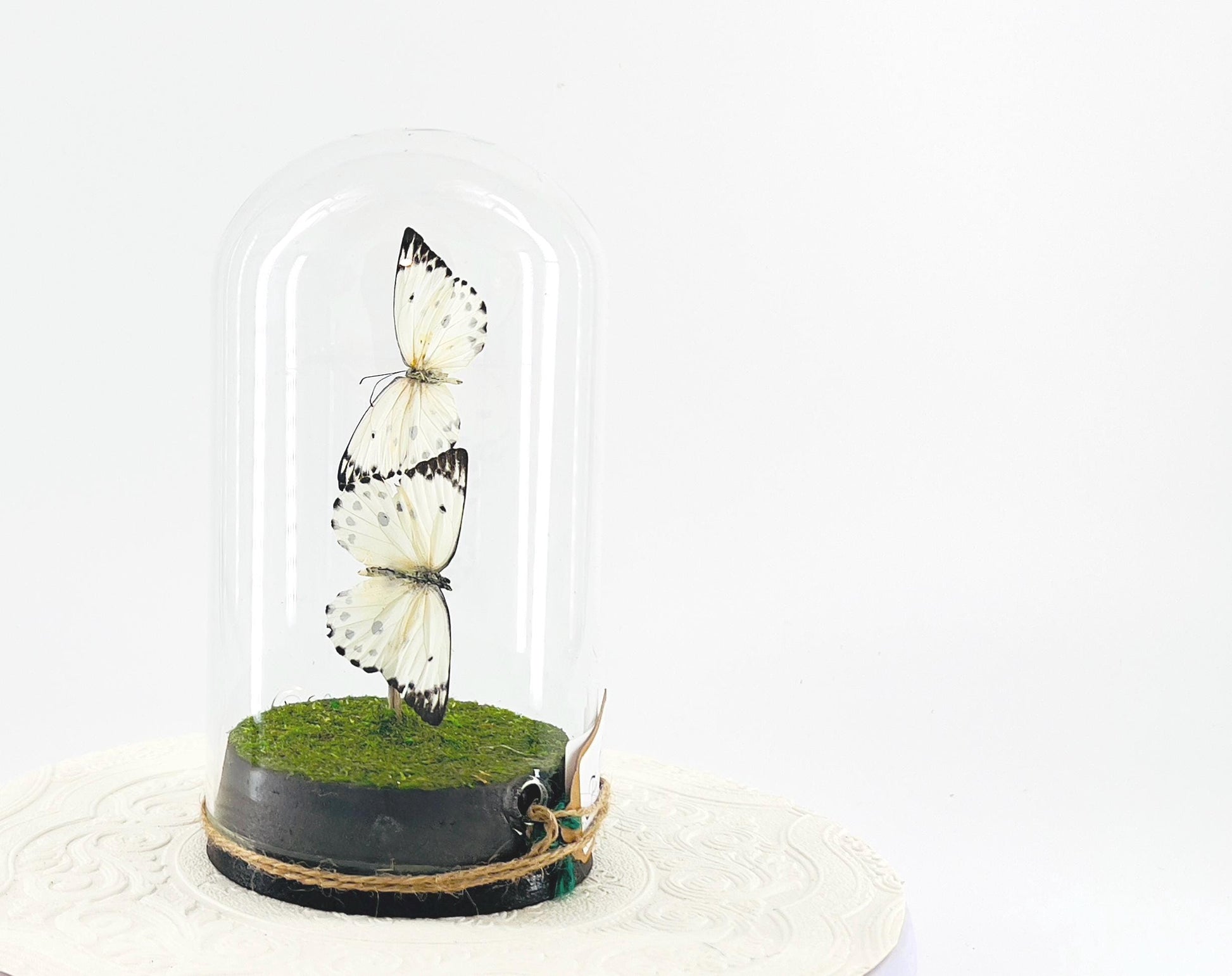Large Pendant | Double Calypso | White Black Polkadots | Flutter by Katie | Butterfly Sculpture Art | Handmade | Home Decor | Central Africa